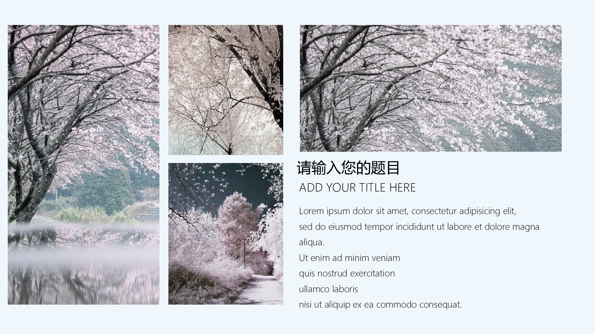 日系(3).pptx 第6页
