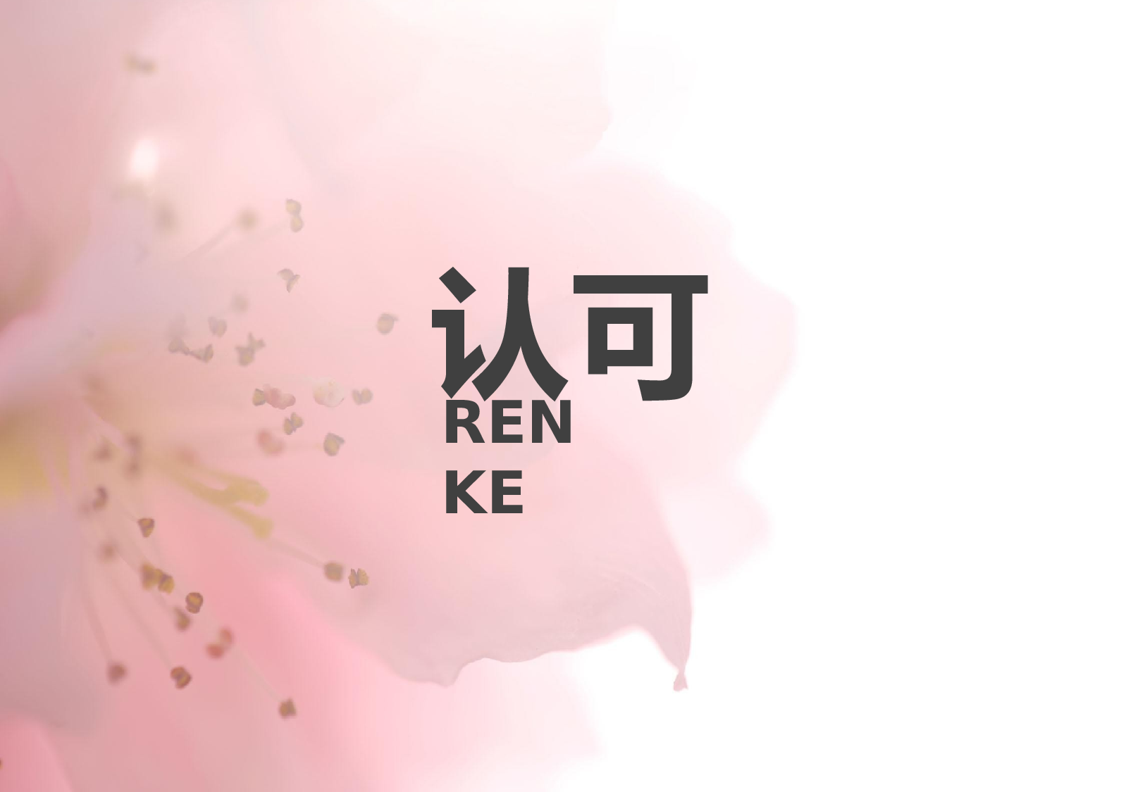求职竞品(26)45.pptx 第3页