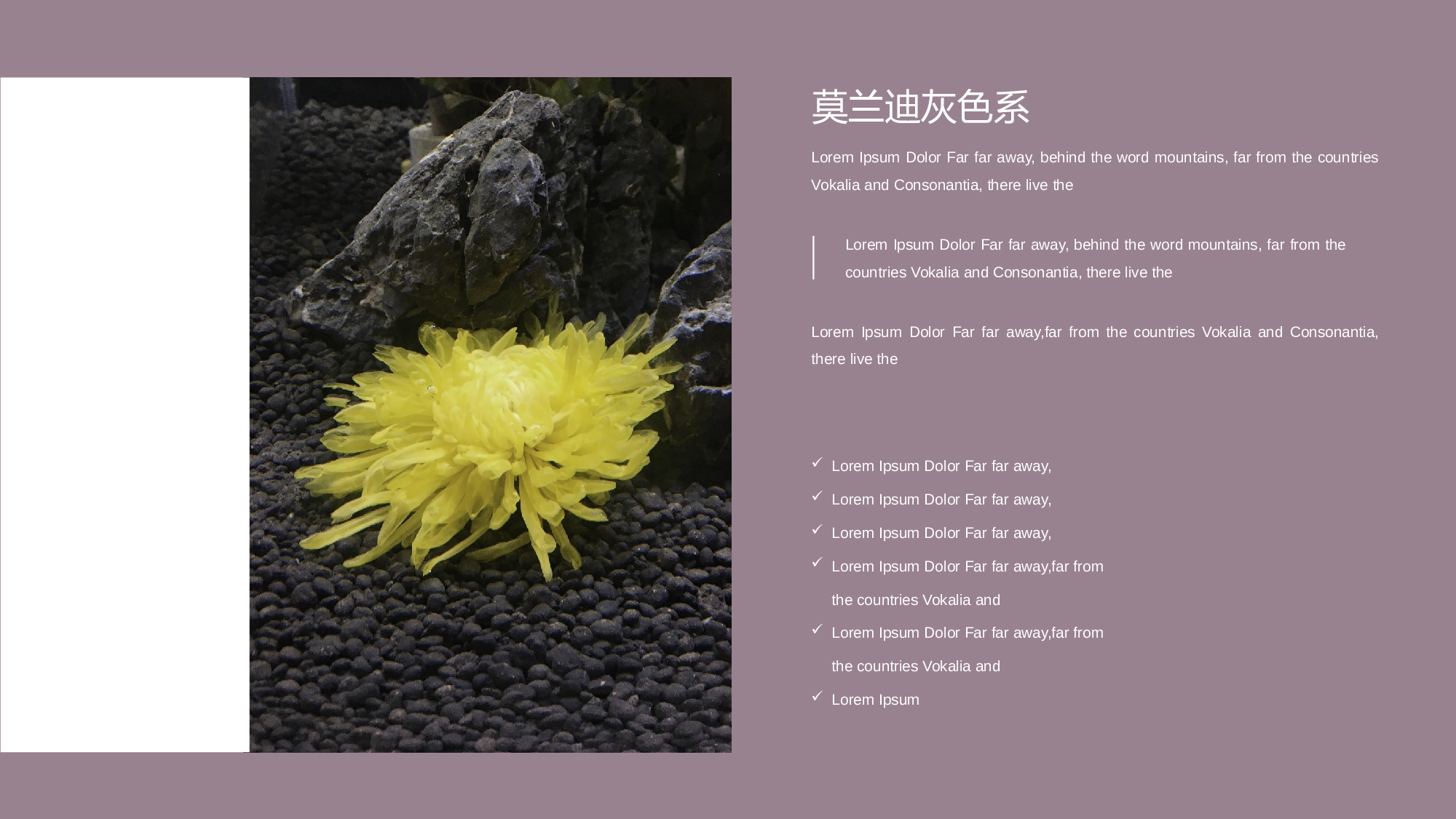 莫兰迪风尚 (4).pptx 第4页