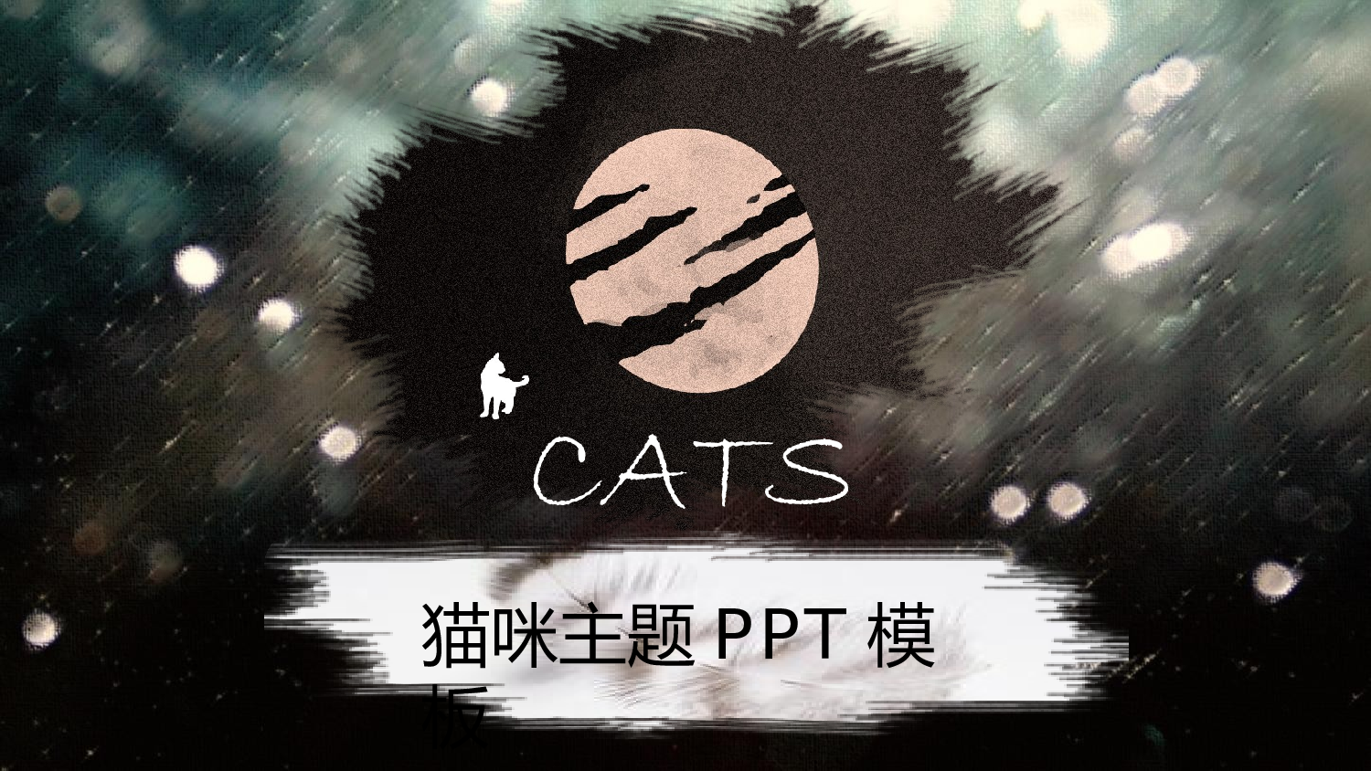 猫咪主题39.pptx 第1页