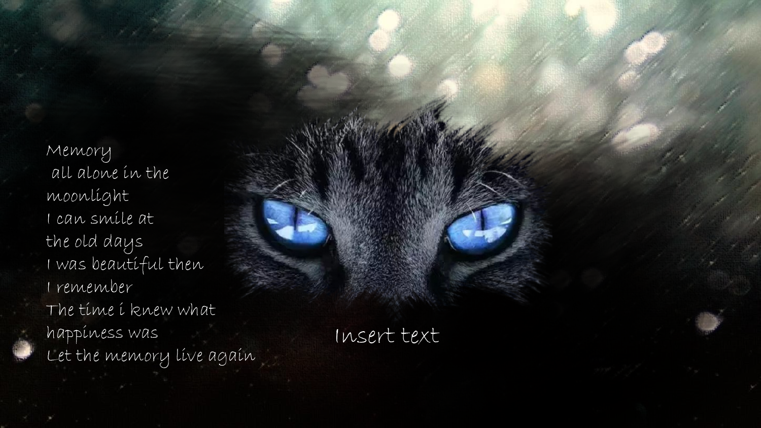猫咪主题39.pptx 第5页