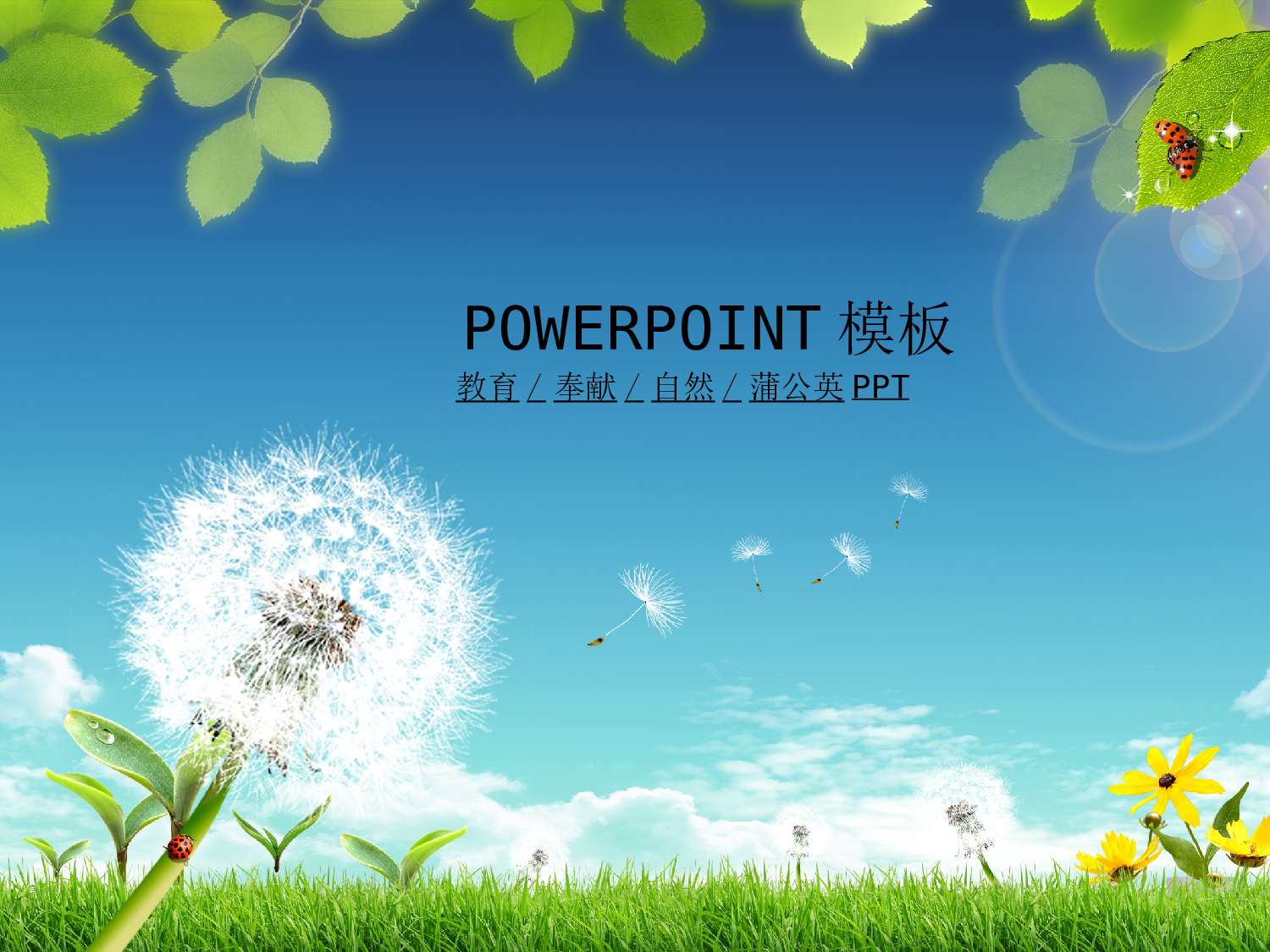 节日模版 (38).ppt 第1页