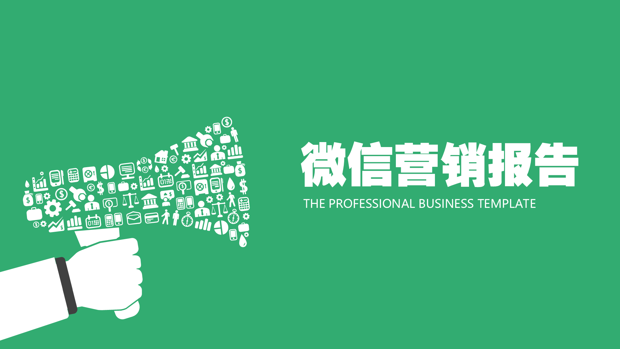 商业创业计划书1233.ppt 第1页