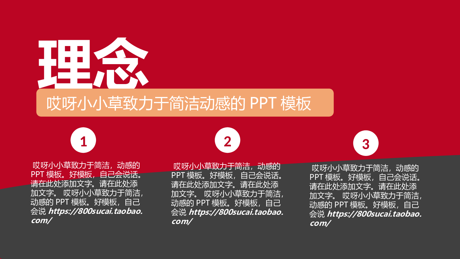 商业创业计划书173.ppt 第5页