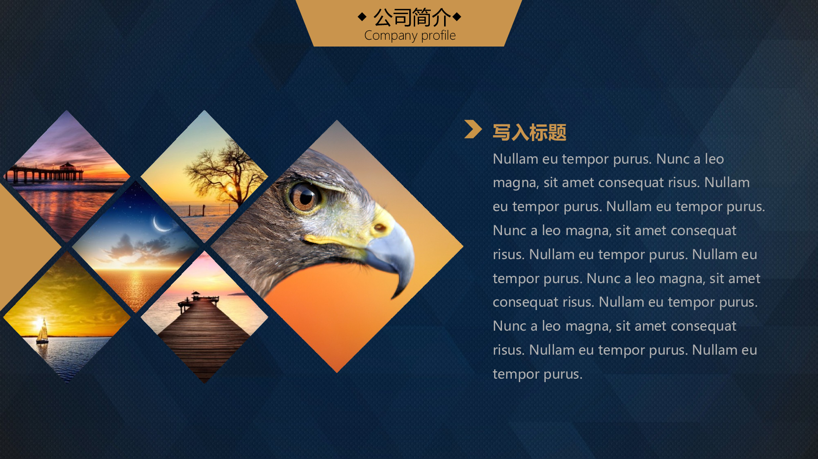 商业创业计划书195.ppt 第5页