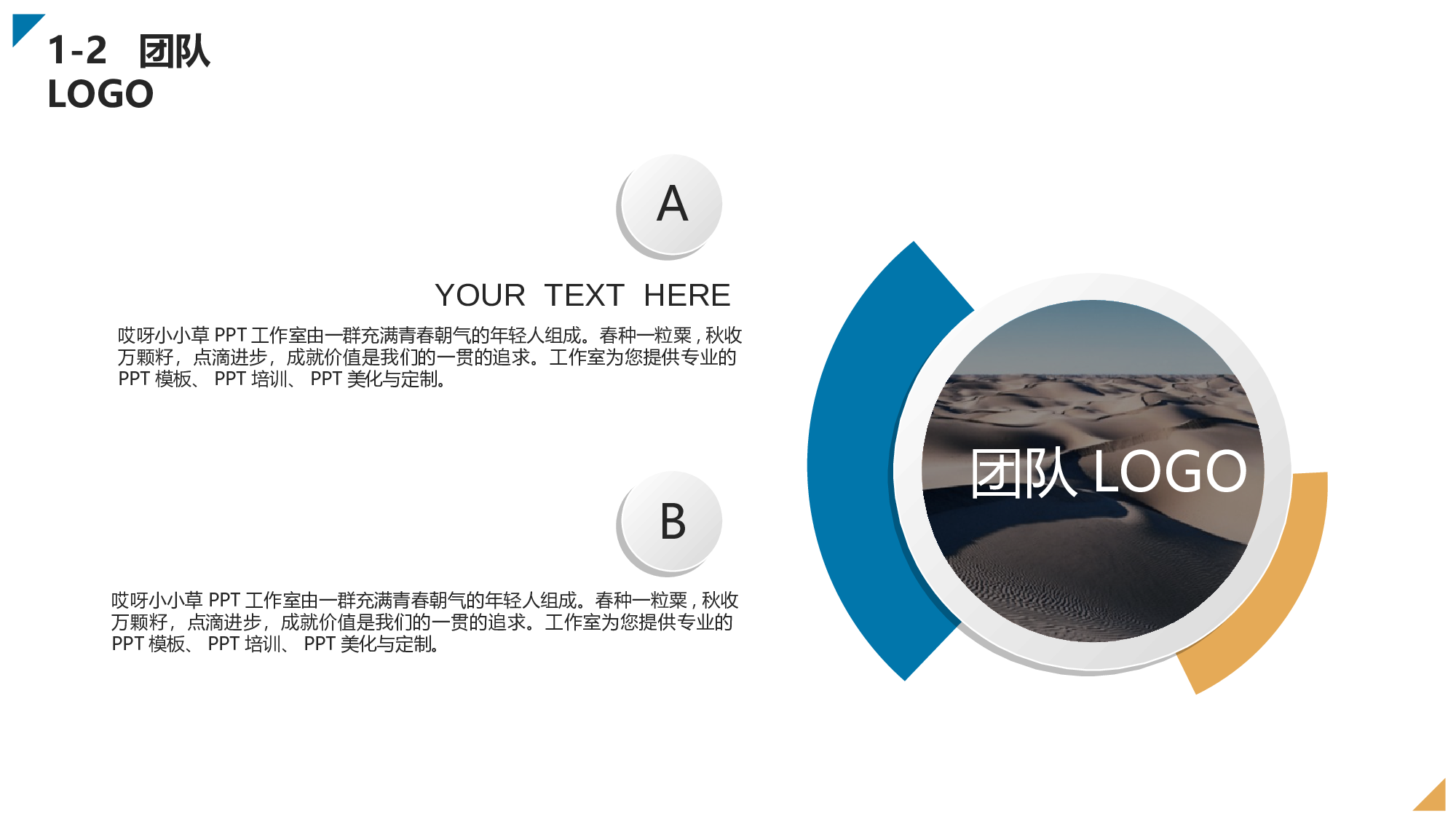 商业创业计划书228.ppt 第5页