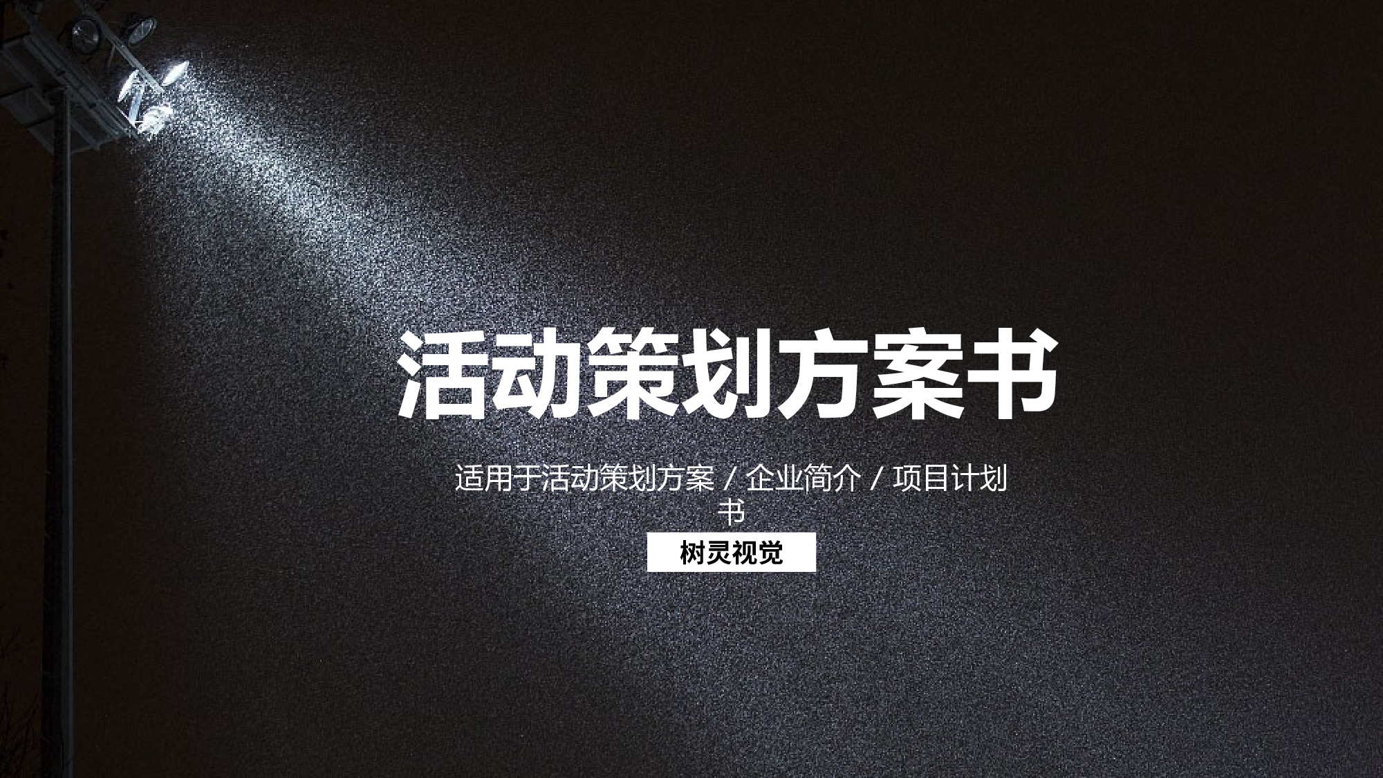 商业策划PPT模板 (31).pptx 第1页