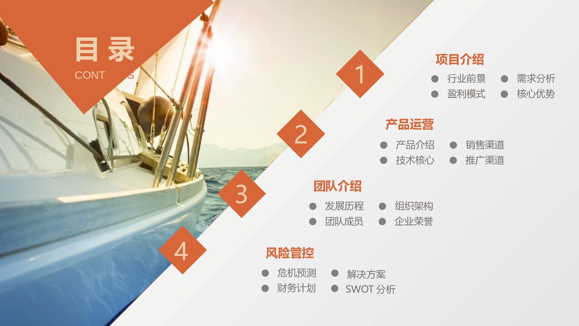 商业计划29.pptx 第2页