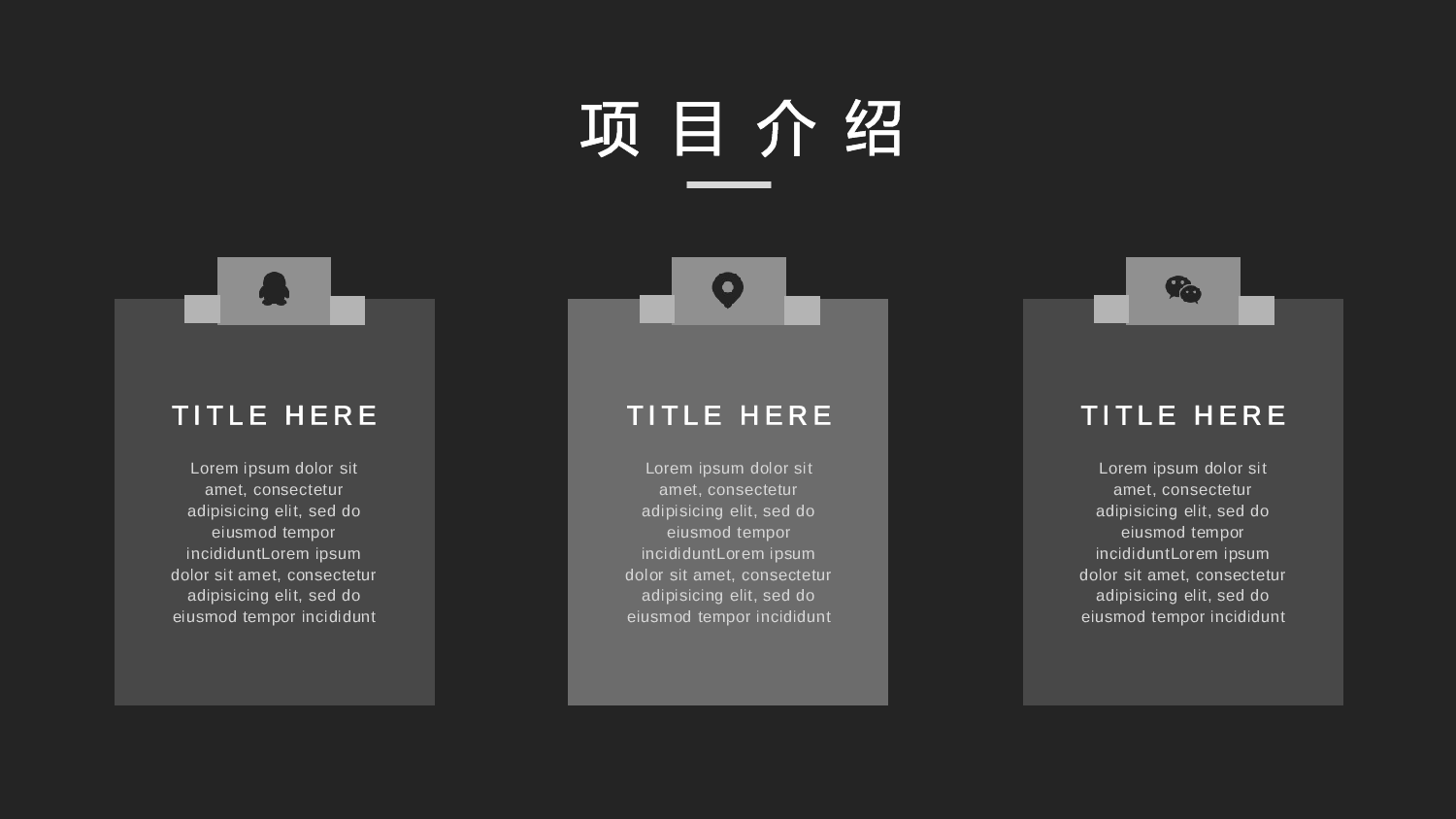商业计划30.pptx 第6页