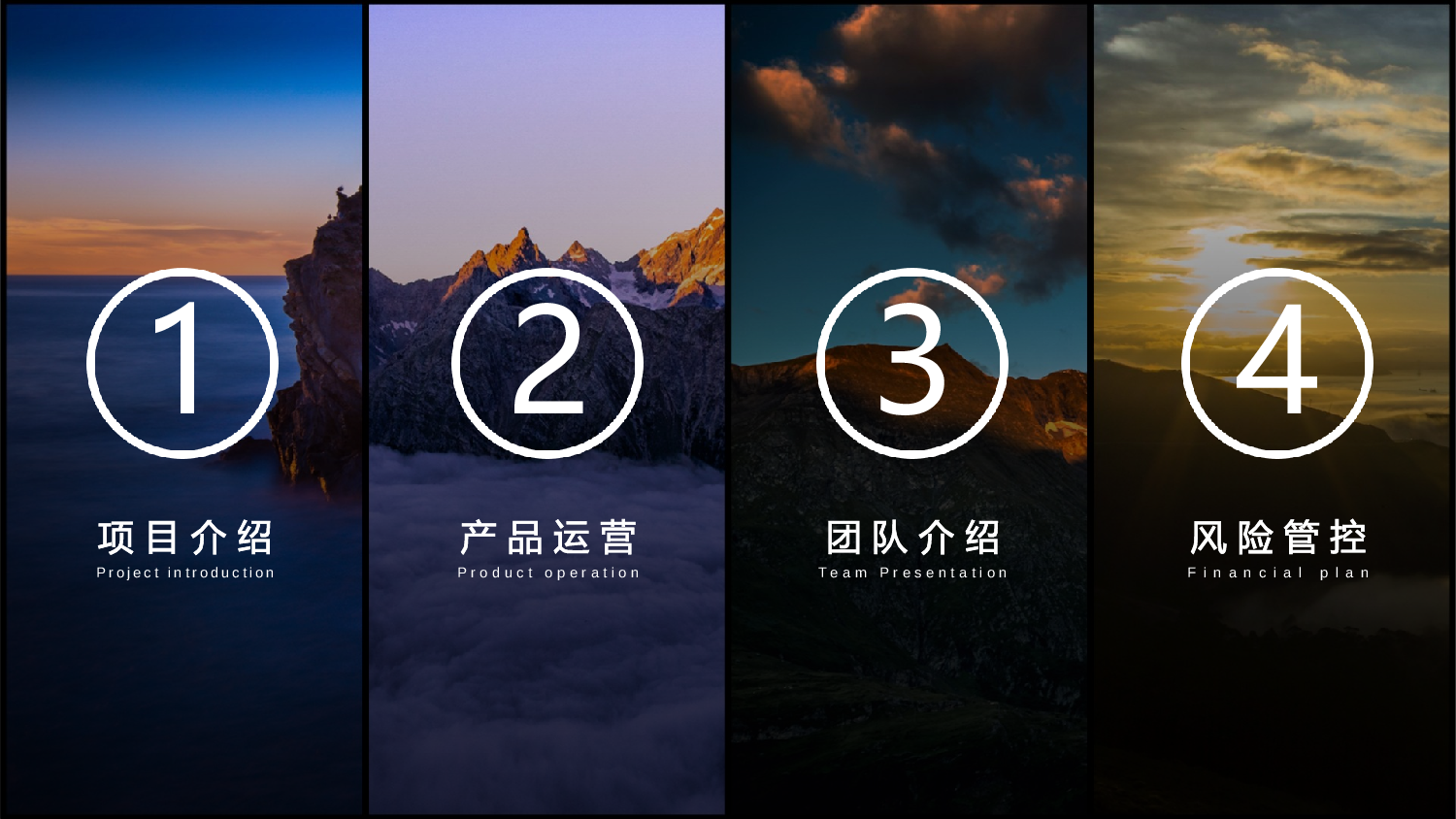 商业计划30.pptx 第2页