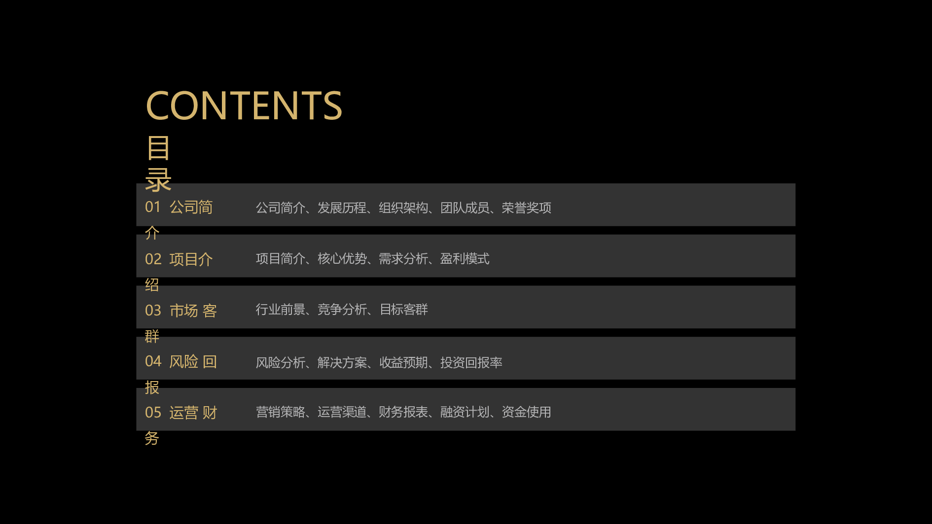 商业计划63.pptx 第2页