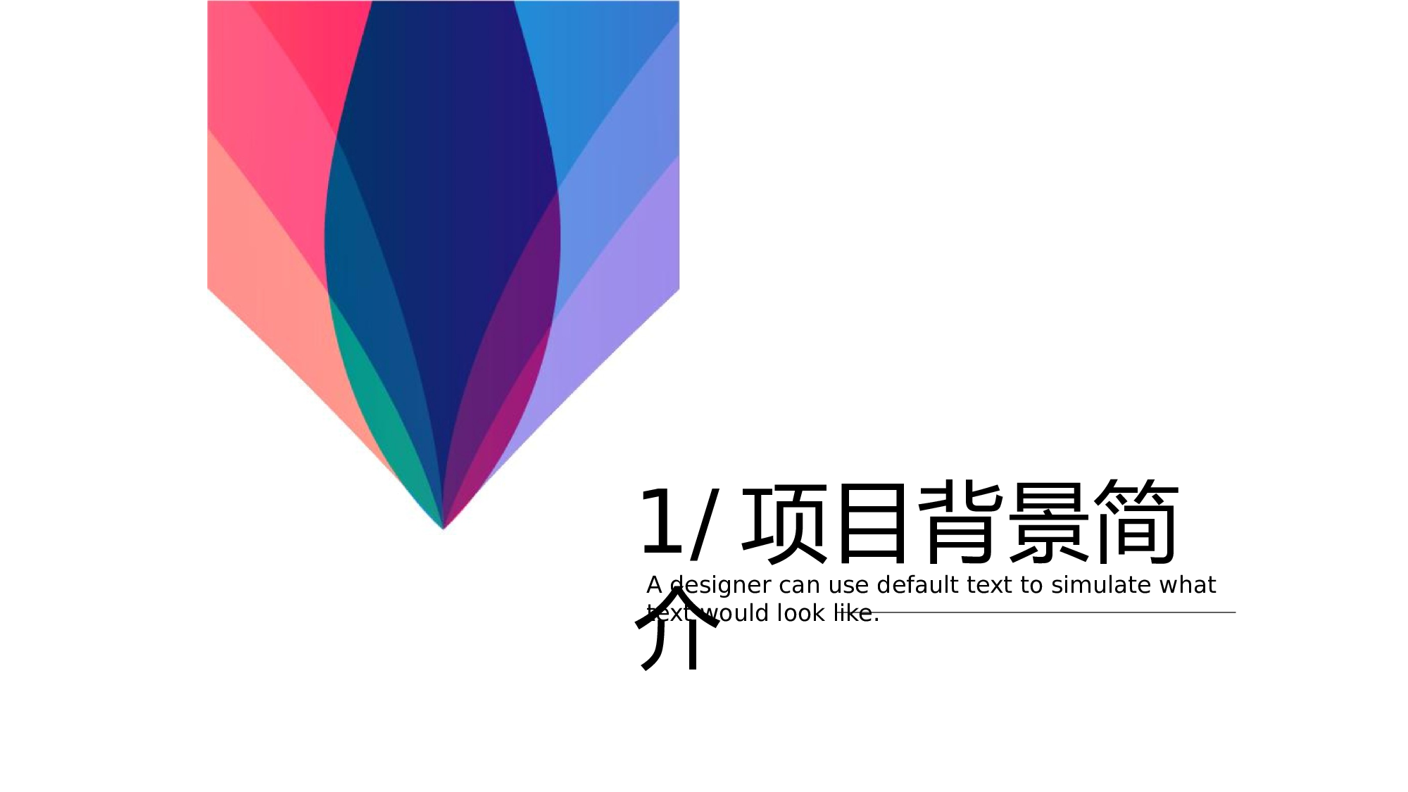 商业计划66.pptx 第4页