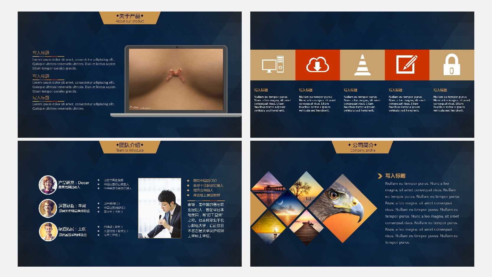 商业计划PPT模板 (8).ppt 第4页