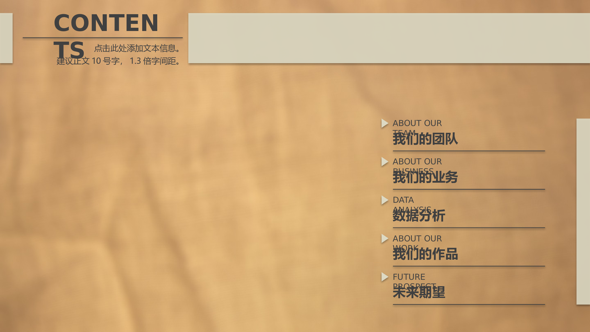 商业计划书模板04245.pptx 第2页