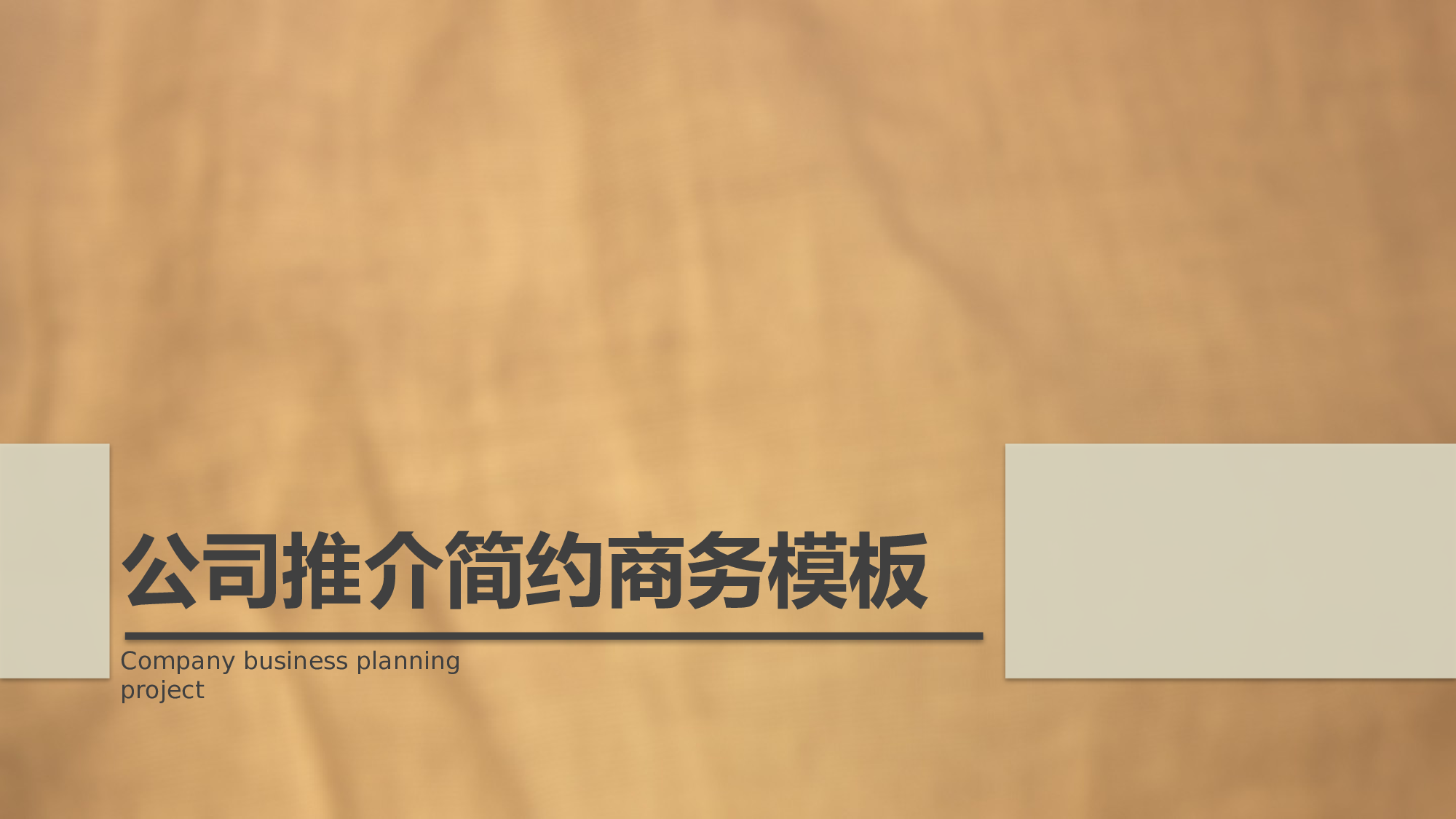 商业计划书模板04245.pptx 第1页