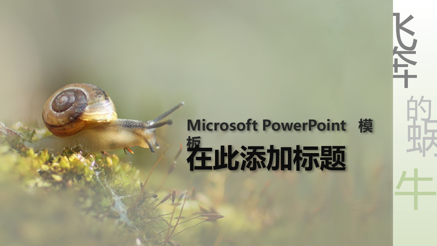 实用模板2017.pptx 第1页