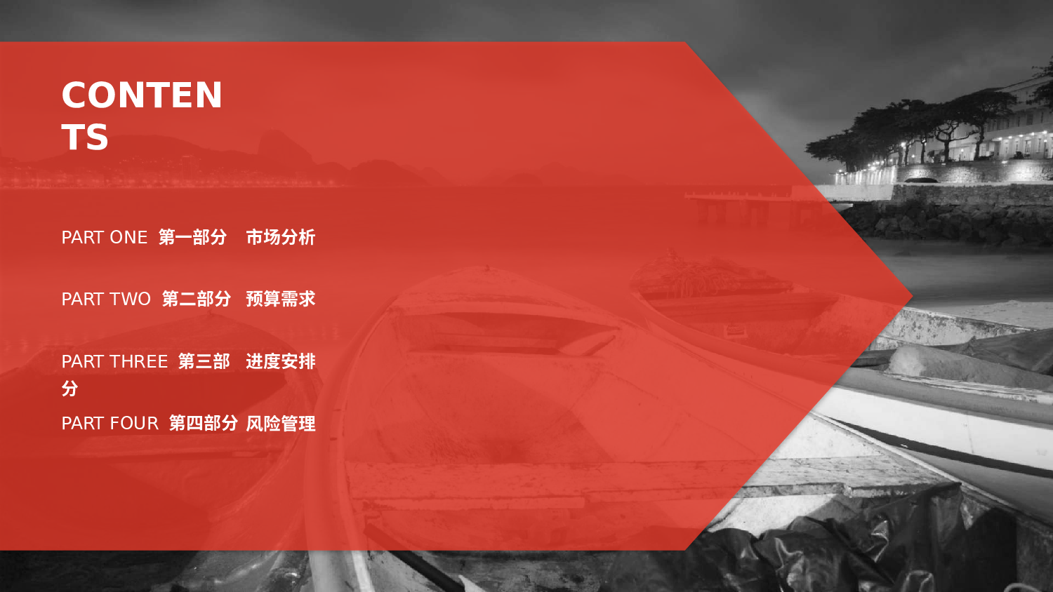 项目策划(01)[289].pptx 第2页