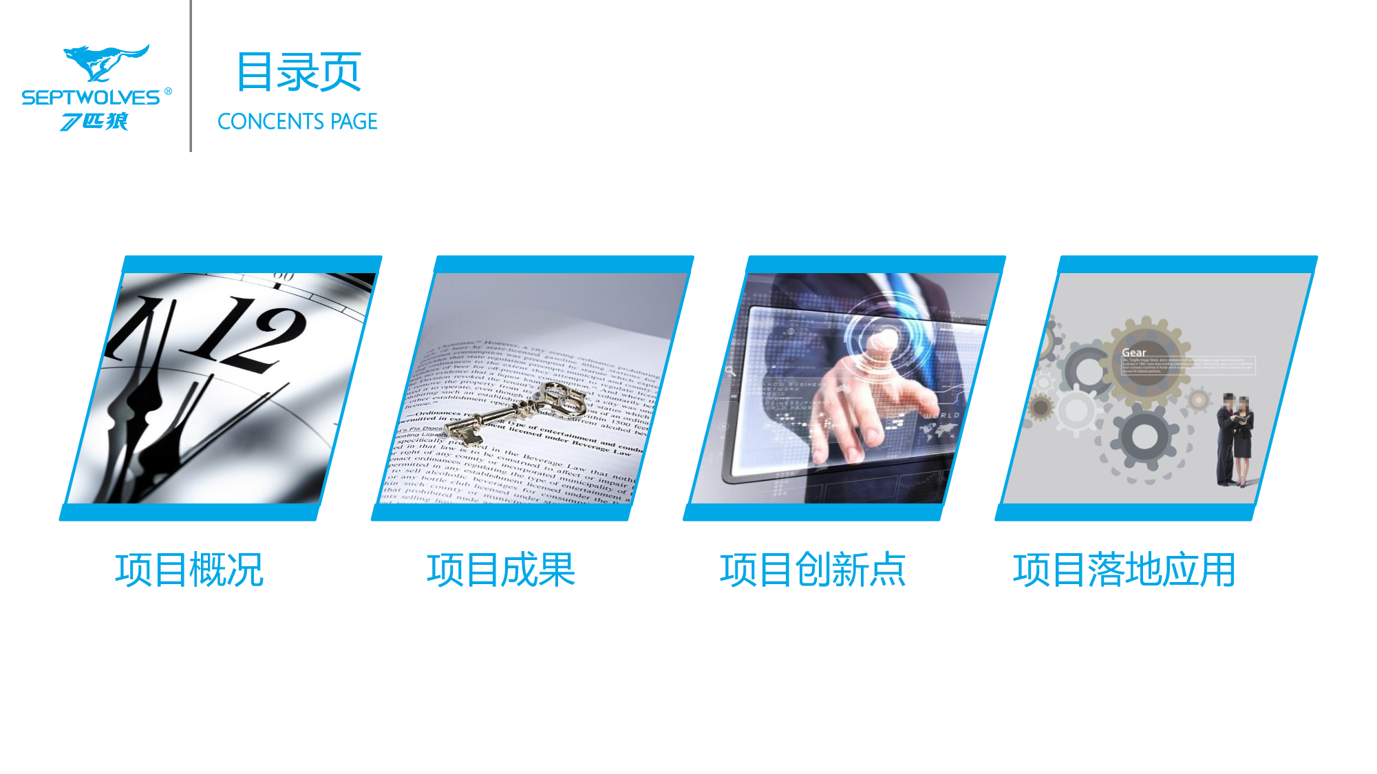 项目策划(04)[292].pptx 第2页