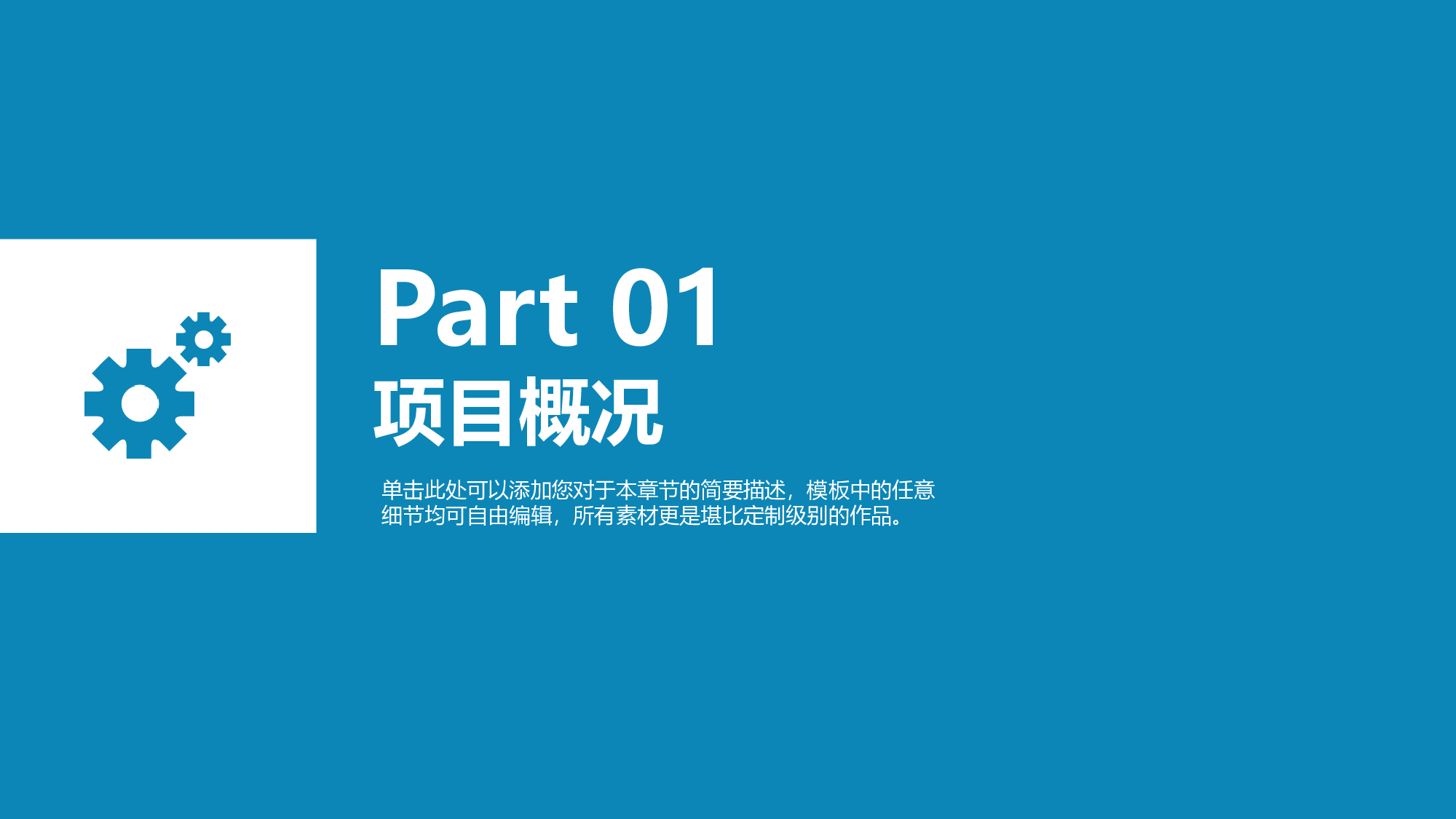 项目策划(10)[298].pptx 第5页