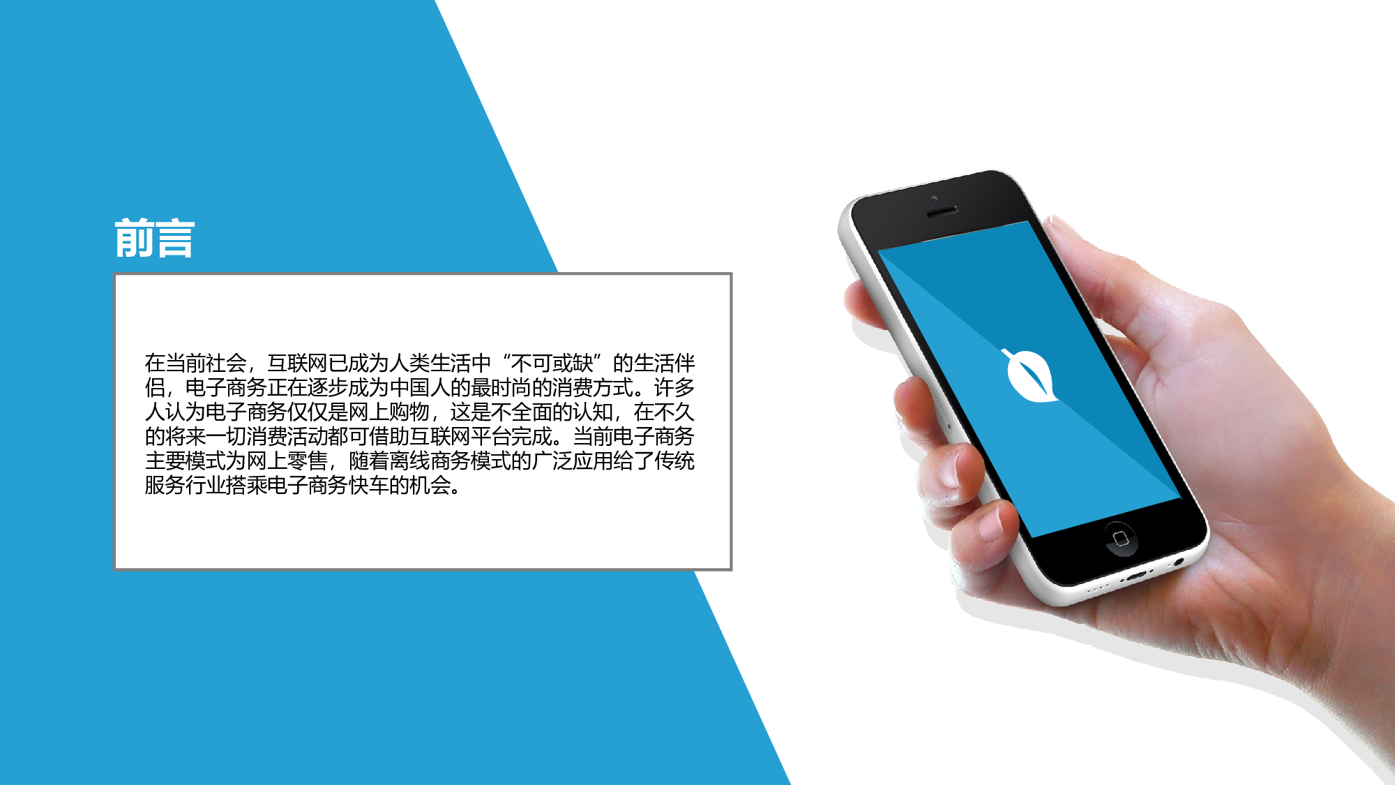 项目策划(10)[298].pptx 第4页