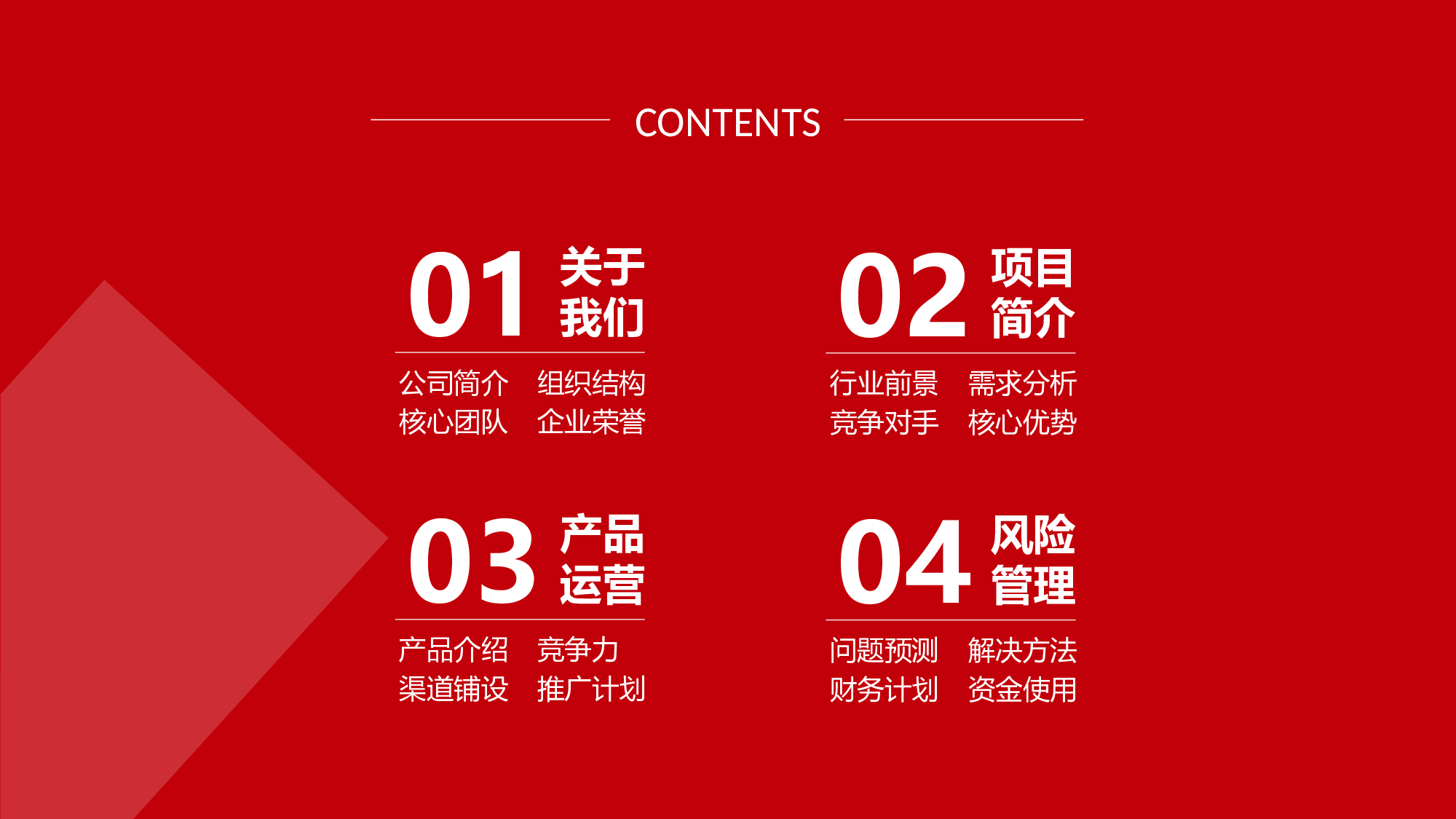 项目策划(12)[300].pptx 第2页