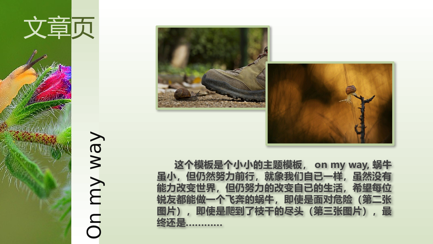 模板20.pptx 第5页