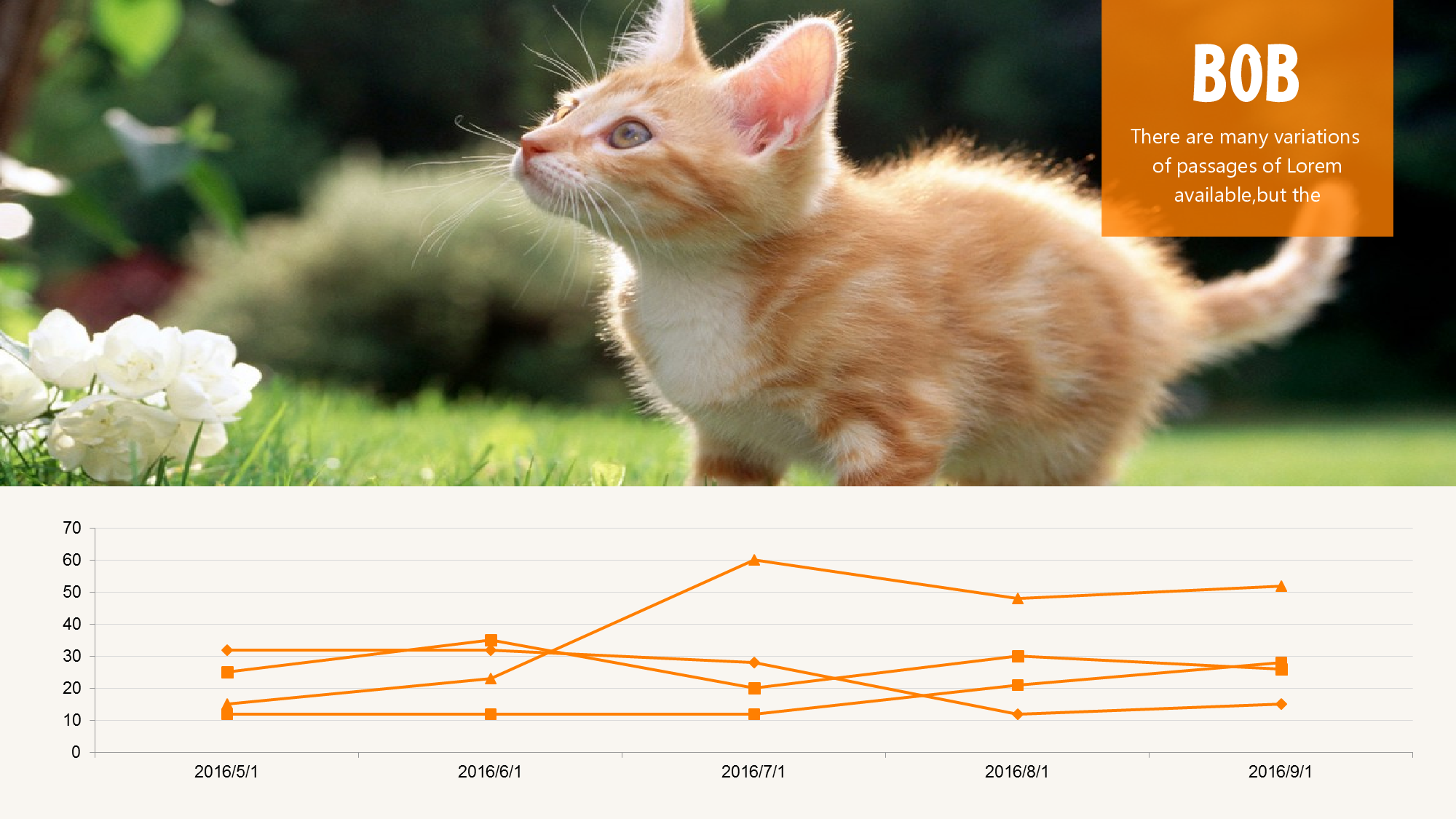 猫咪主题22.pptx 第5页