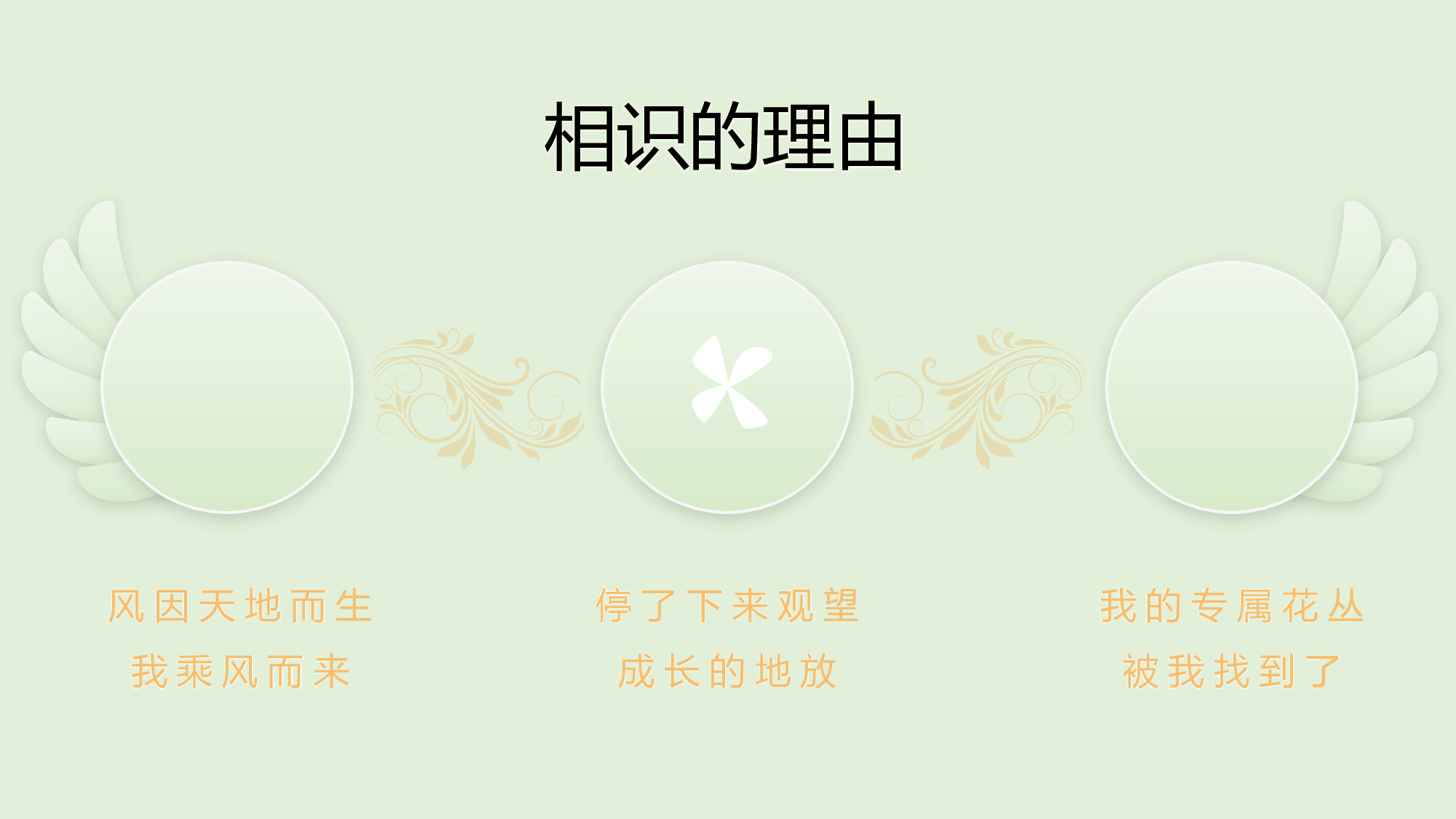毕业 夏之惜.pptx 第4页