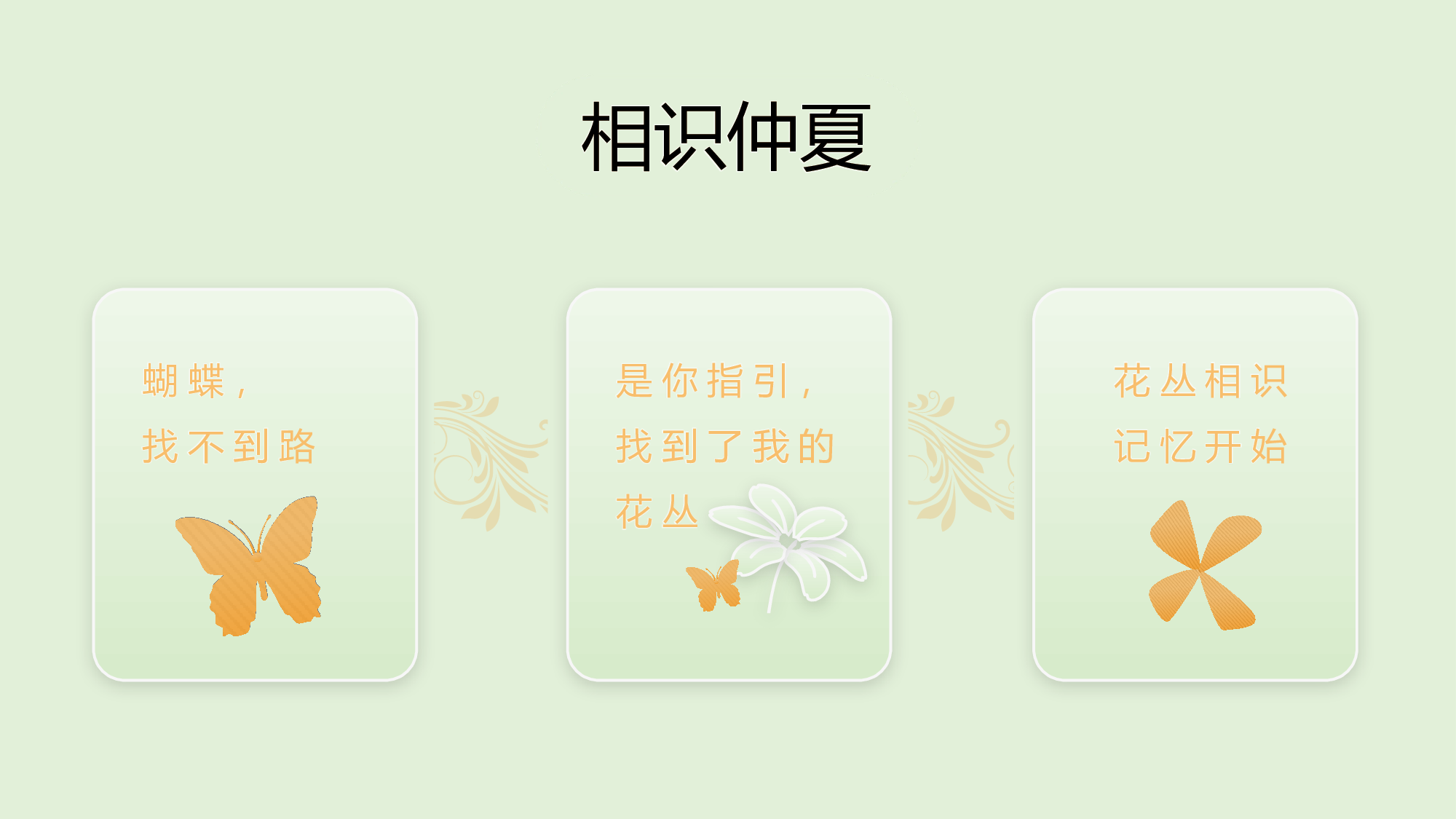 毕业 夏之惜.pptx 第3页