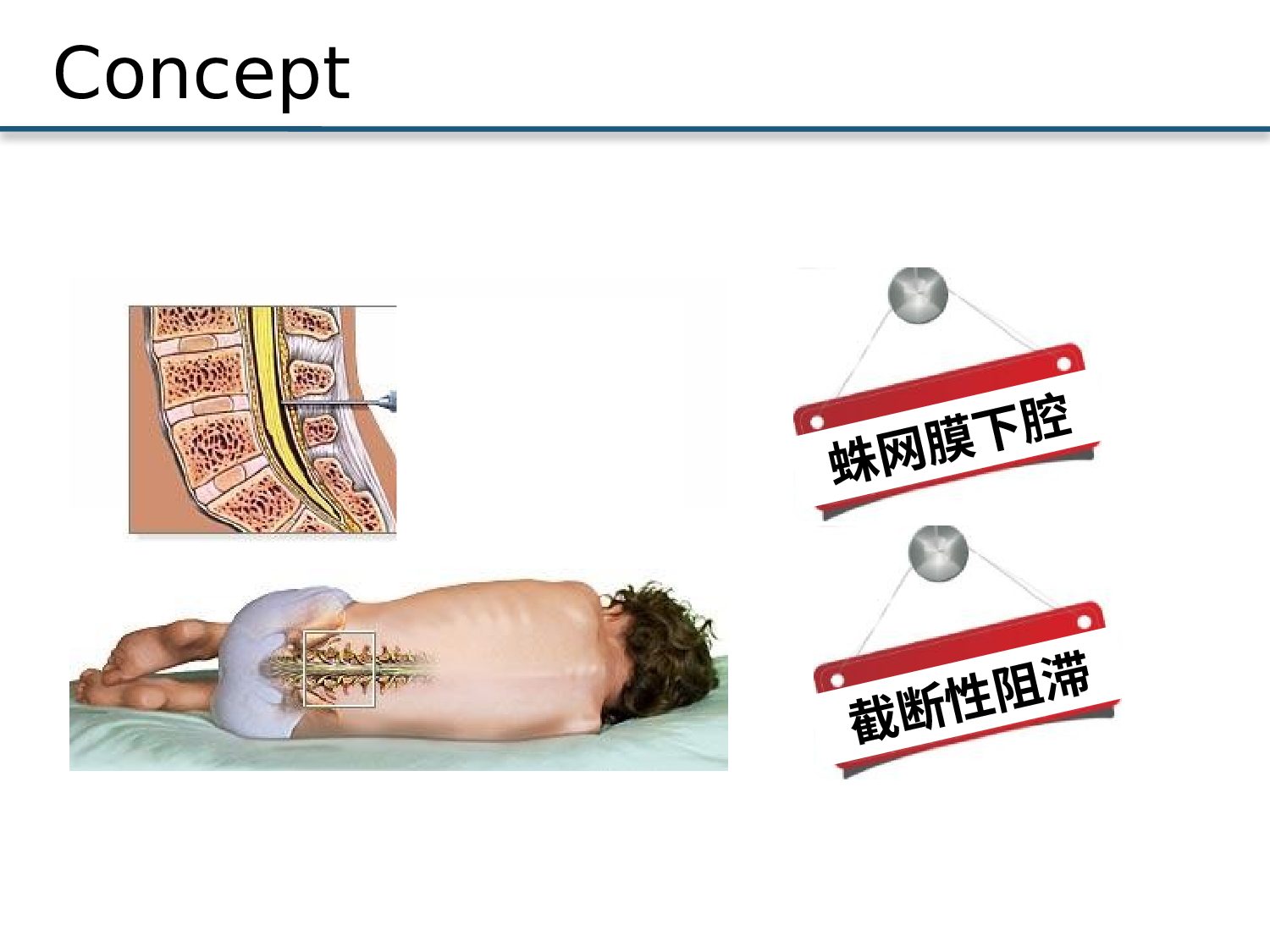 【yy】-医疗护士33.pptx 第4页