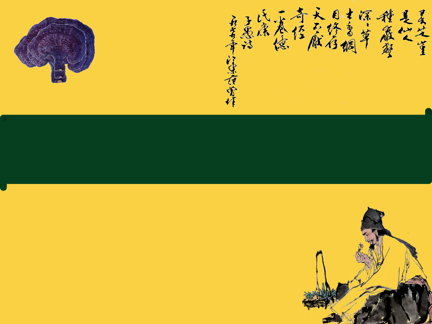【yy】医疗护士 (10).pptx 第1页