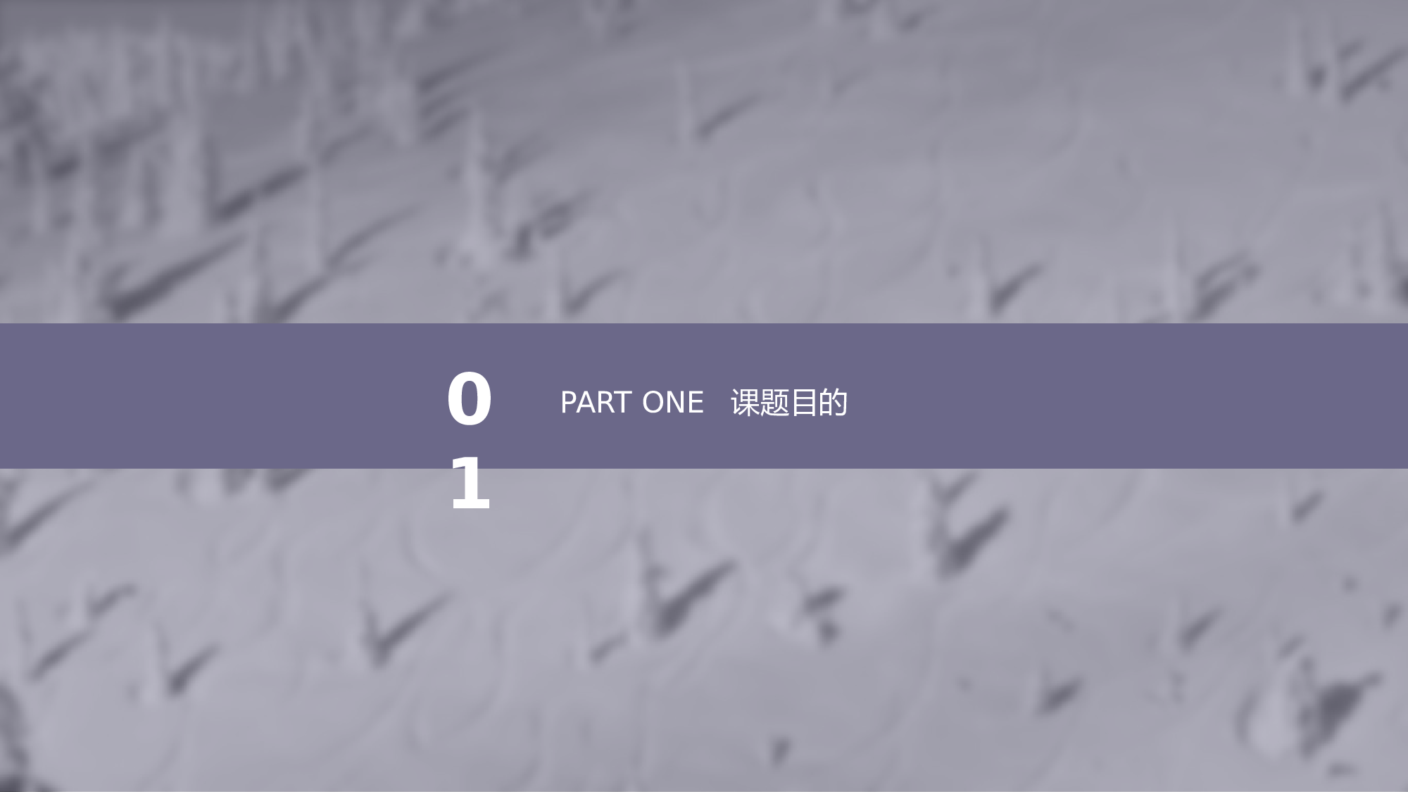 学术答辩&mdash;30.pptx 第3页