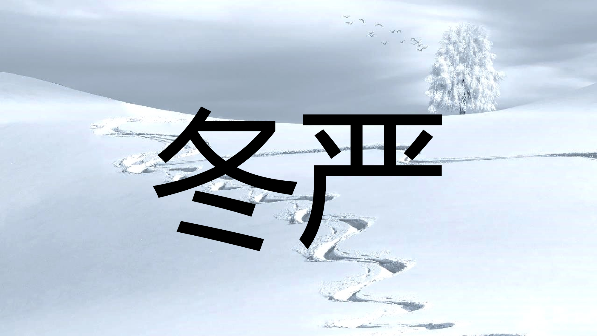 【编号26】通用炫酷快闪ppt 模板.pptx 第3页