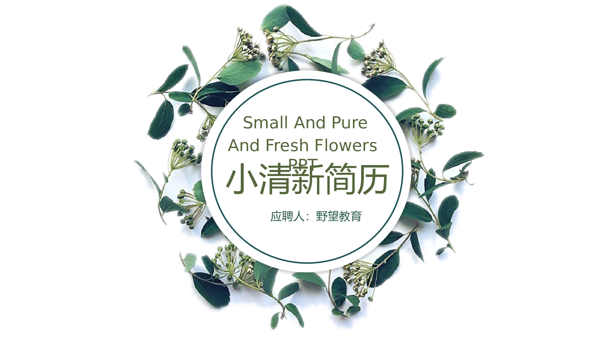 唯美清新 (2).pptx 第1页
