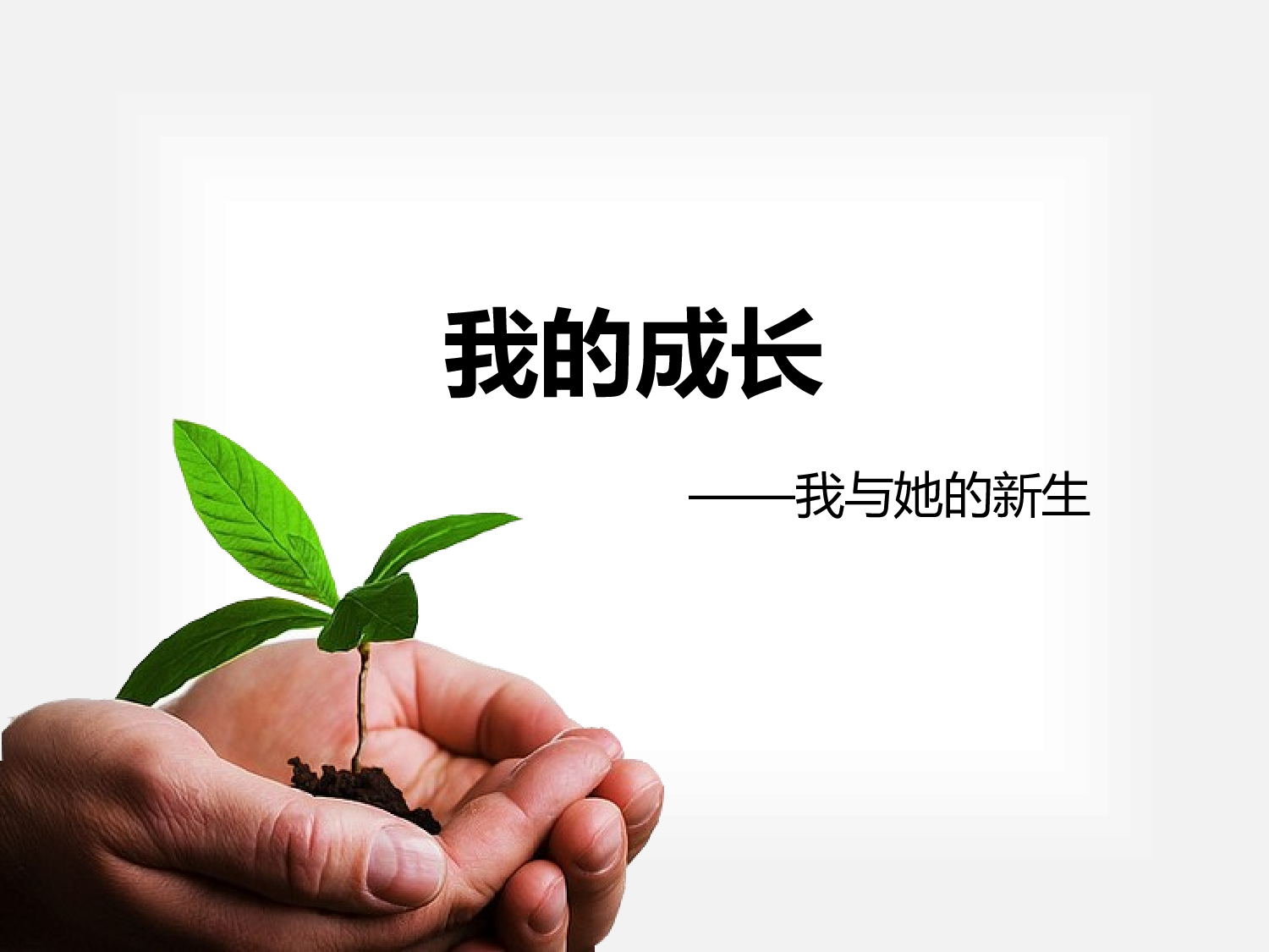企业培训模板3132.pptx 第1页