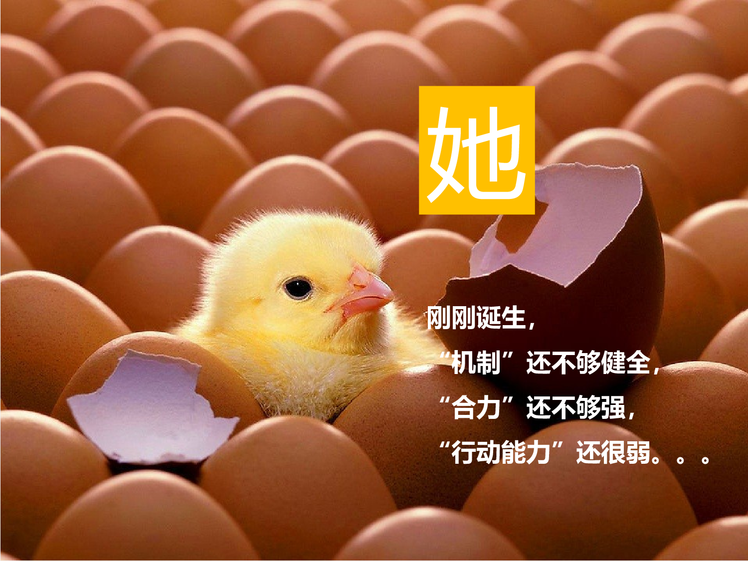 企业培训模板3132.pptx 第3页