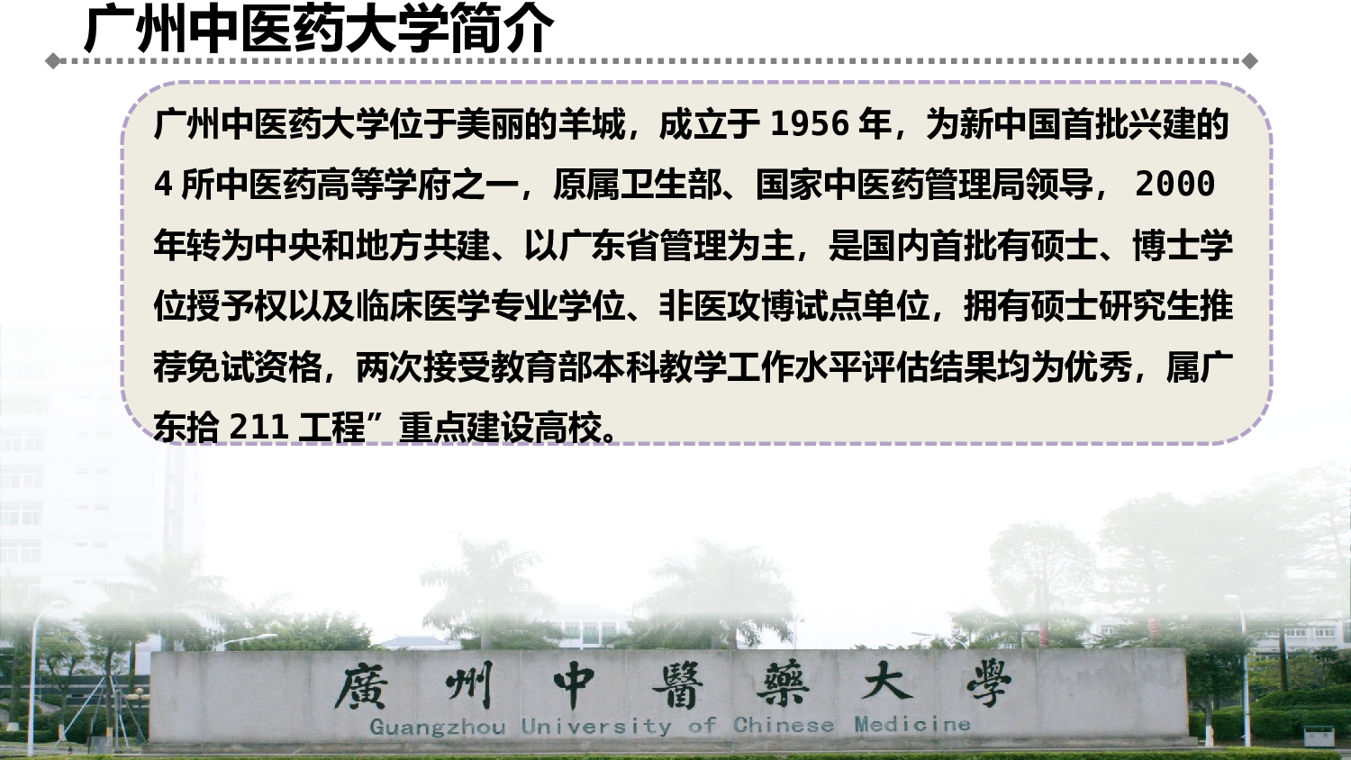 医疗护士 (52).pptx 第2页