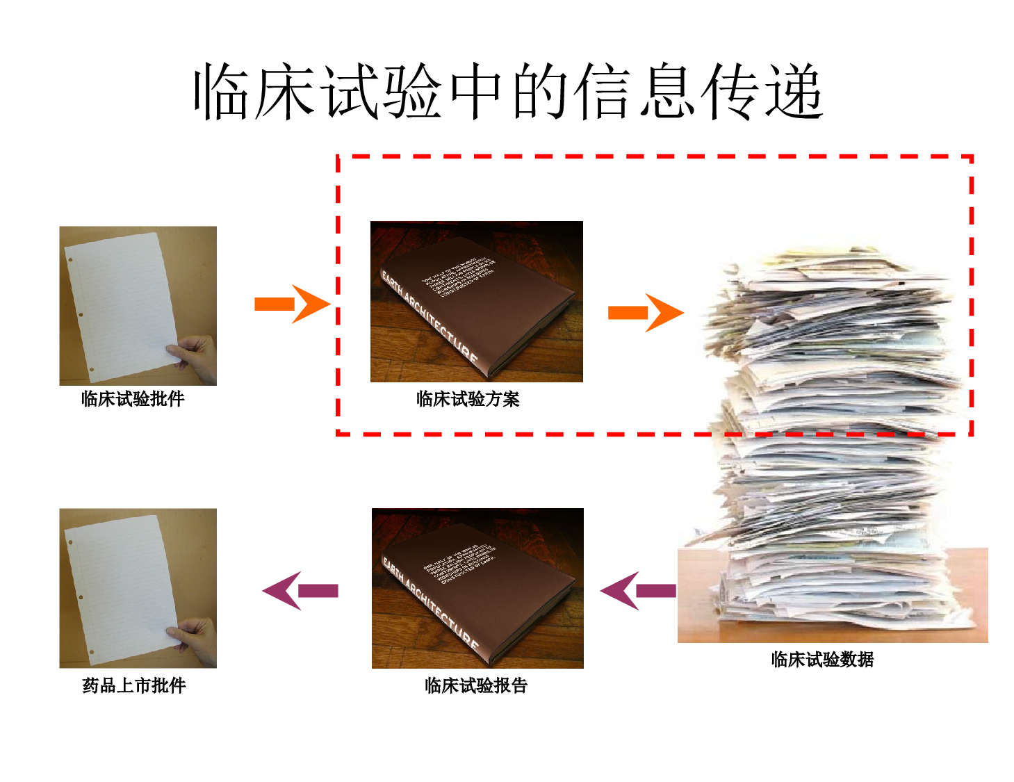 医疗护士34.pptx 第6页