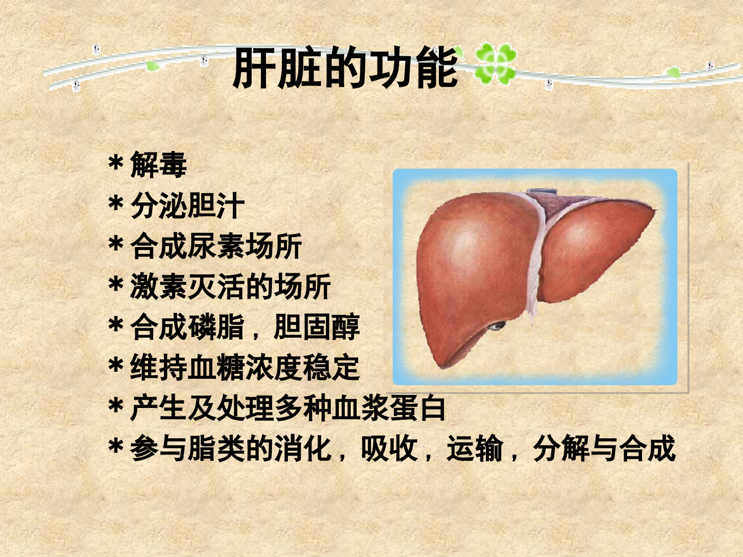 医疗护士48.pptx 第3页