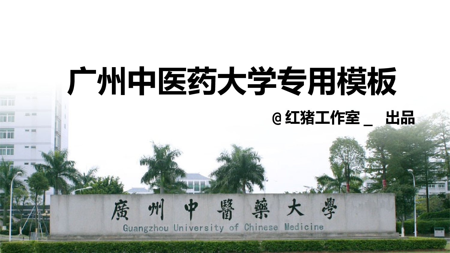 医疗护士53.pptx 第1页
