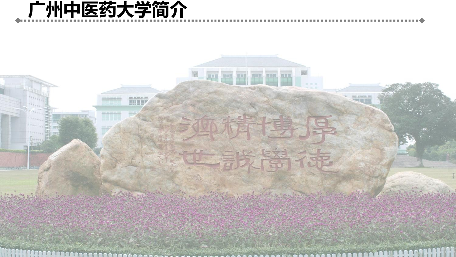 医疗护士53.pptx 第3页