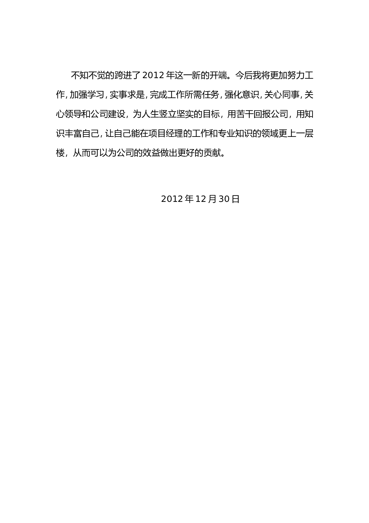项目经理个人终工作总结报告.doc 第3页