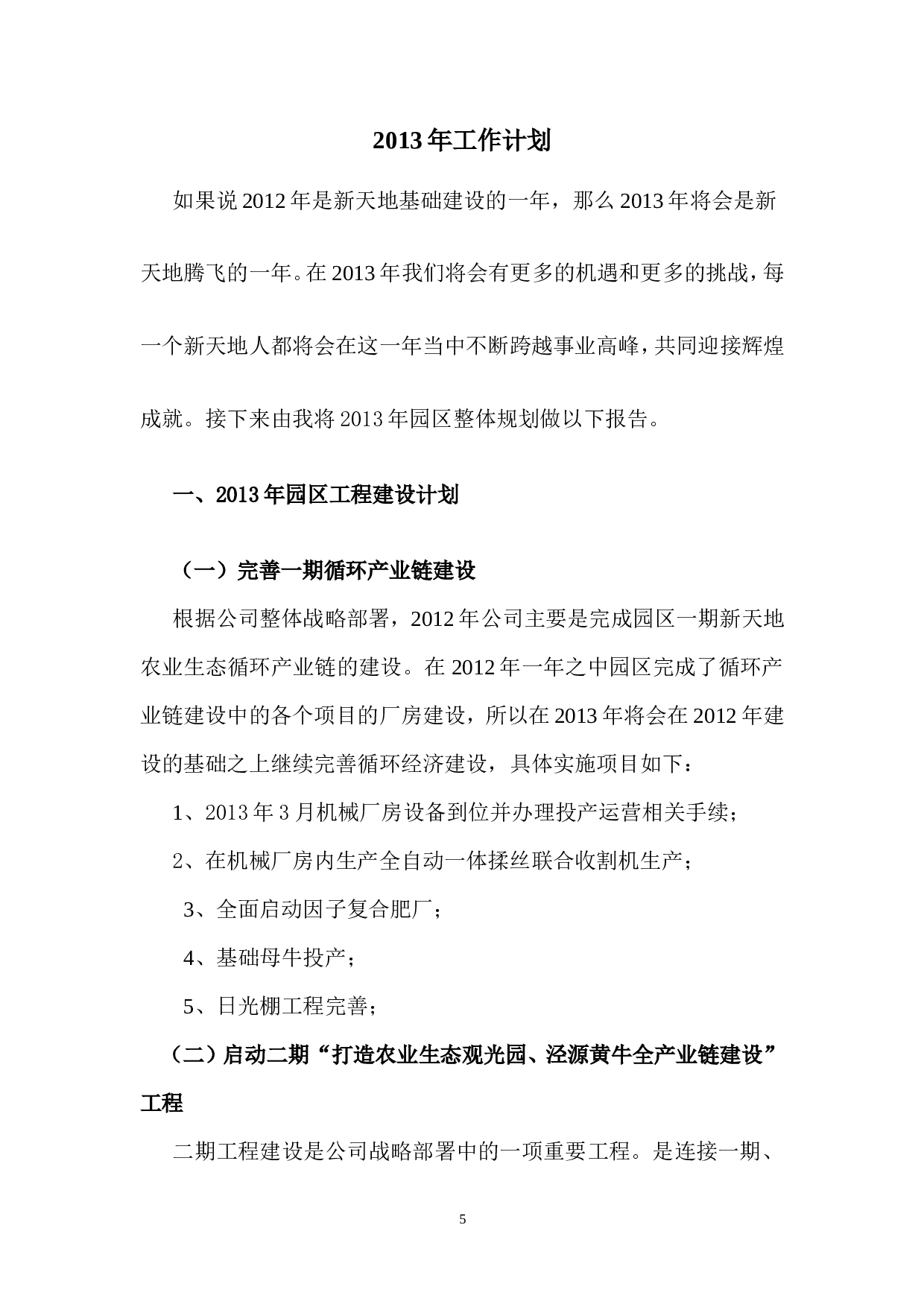 副总经理年度工作总结及计划.doc 第5页