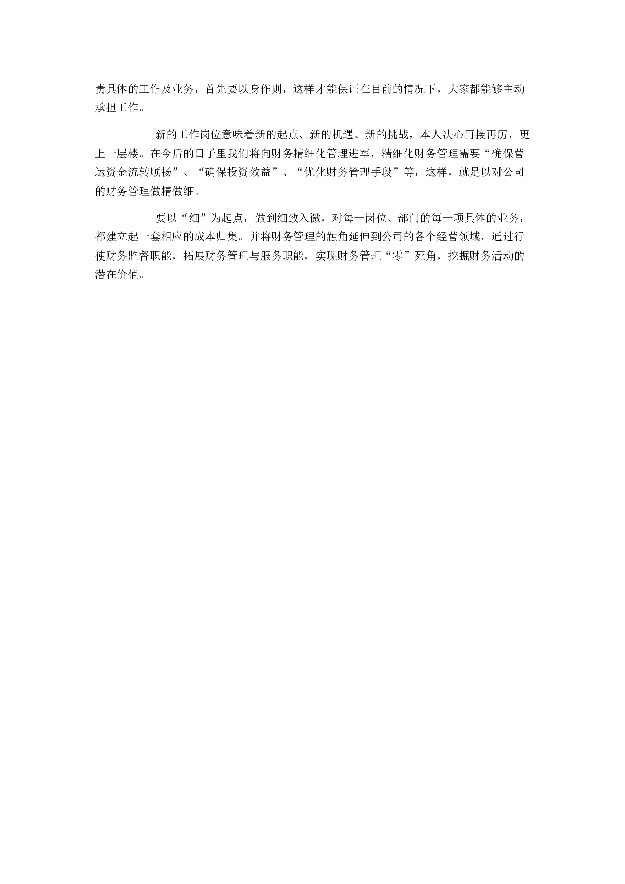 会计工作总结5.docx 第2页