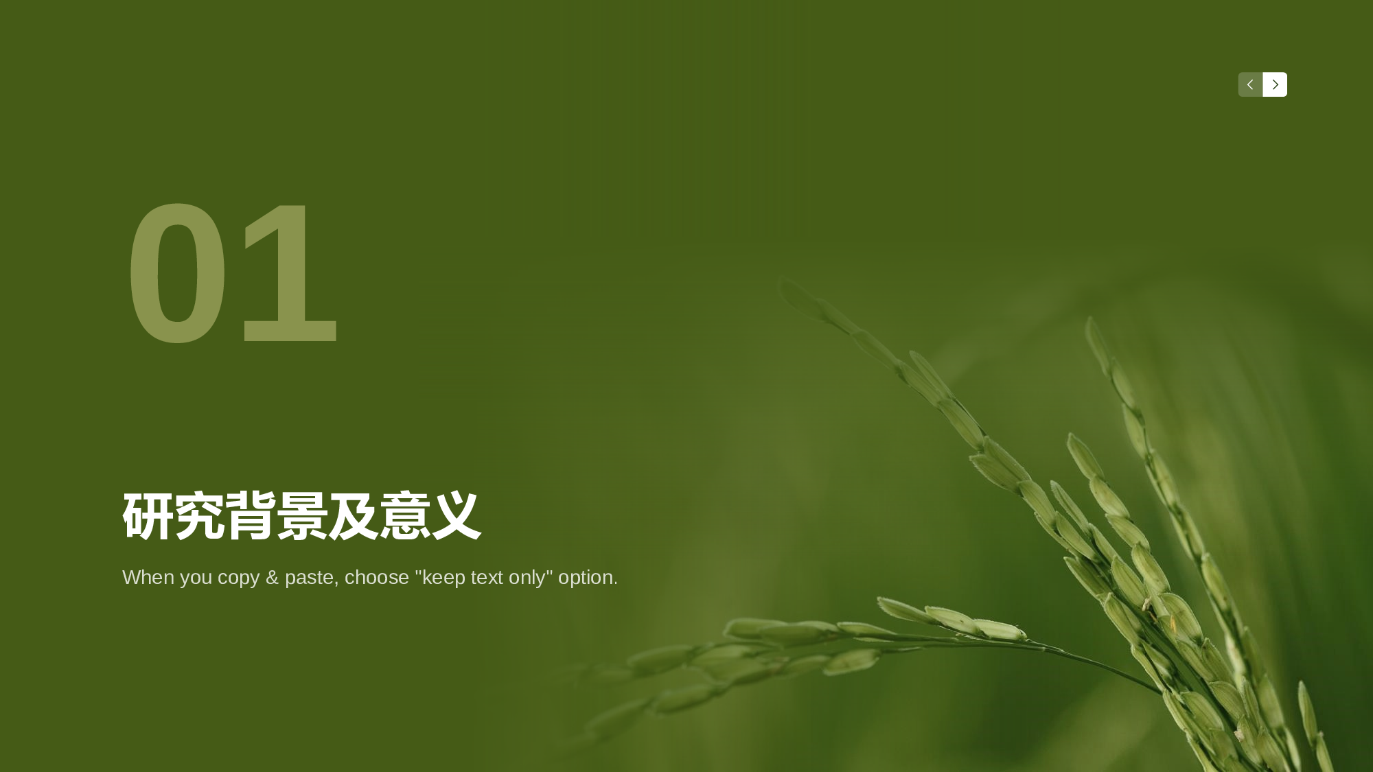 生物专业毕业论文答辩PPT.pptx 第3页