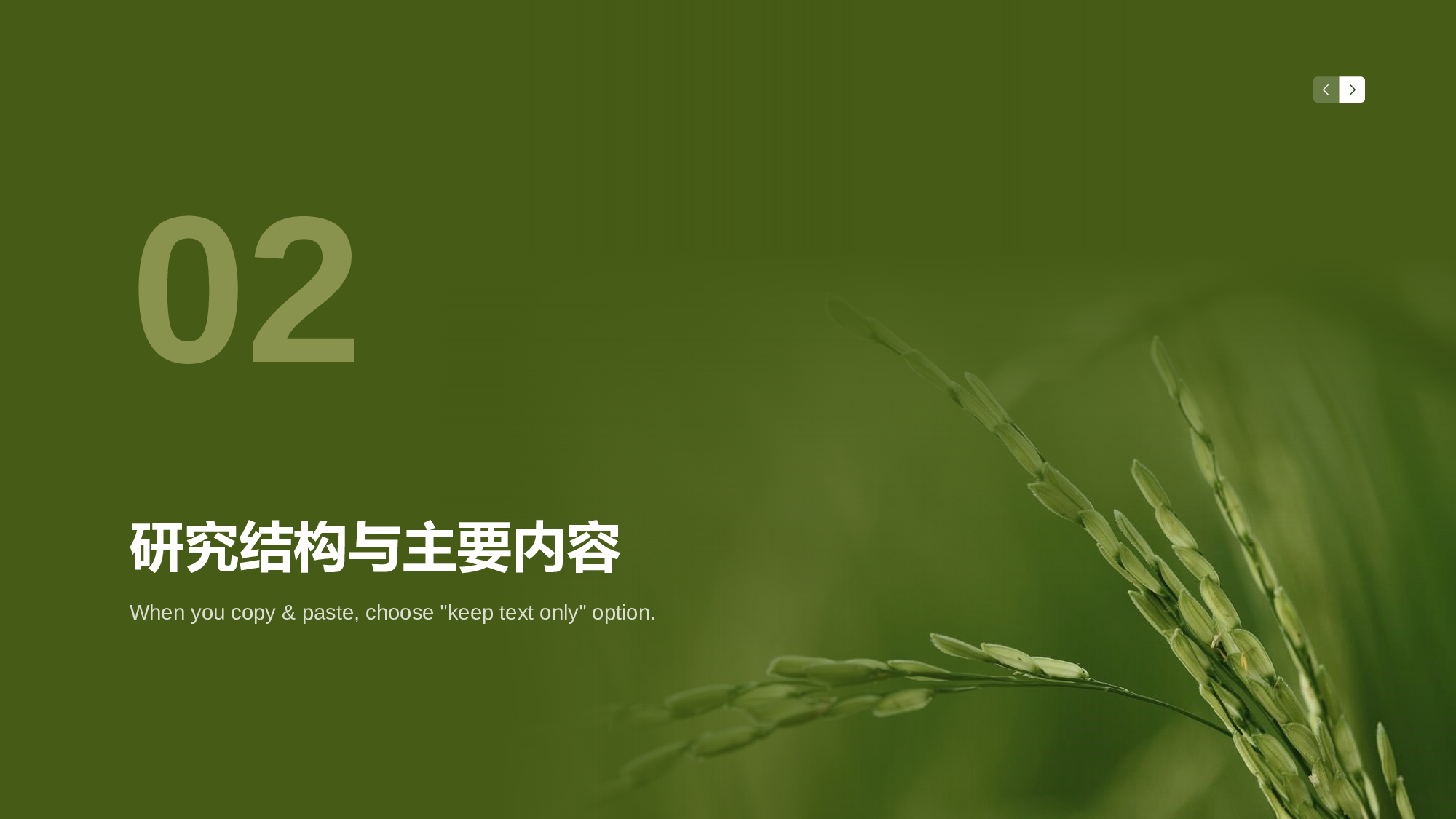 生物专业毕业论文答辩PPT.pptx 第6页