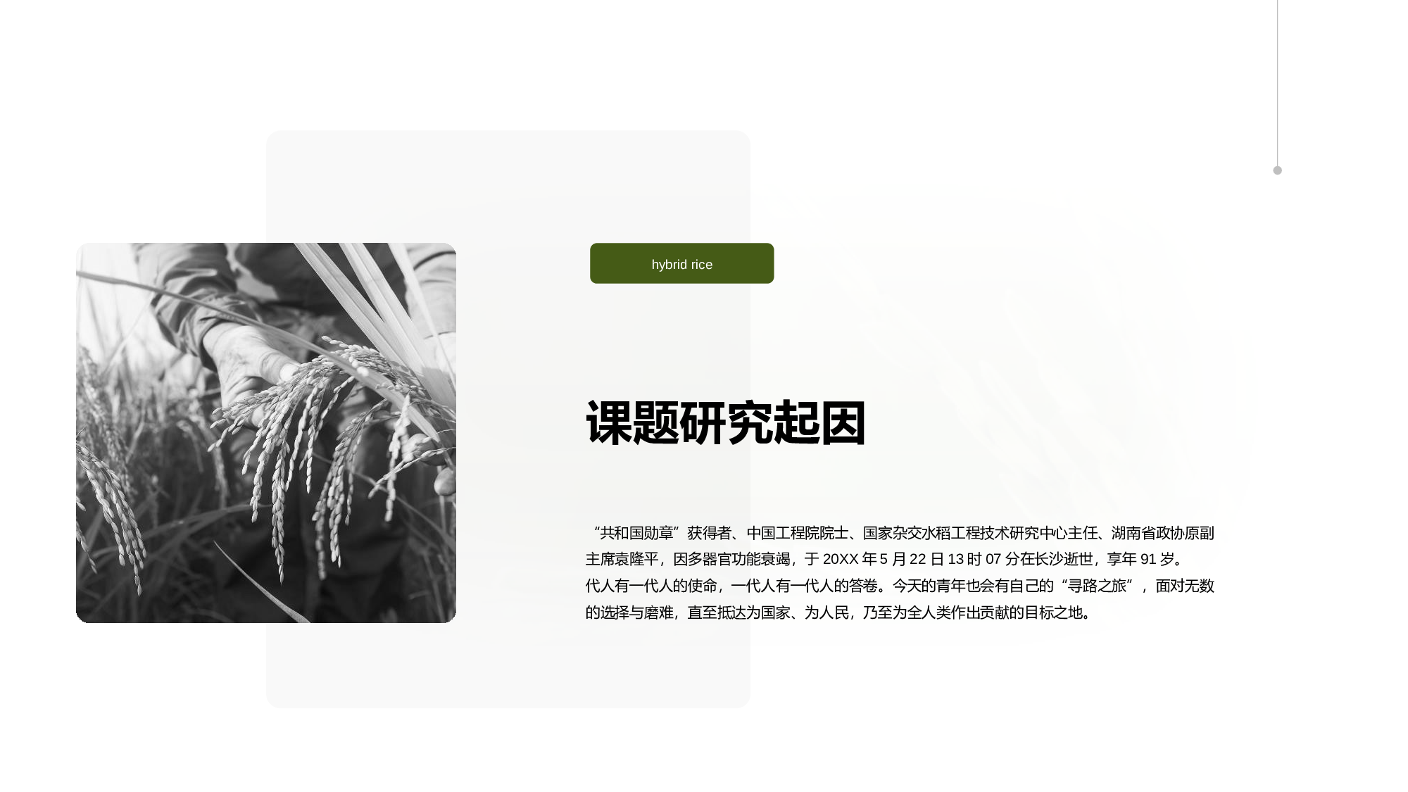 生物专业毕业论文答辩PPT.pptx 第4页