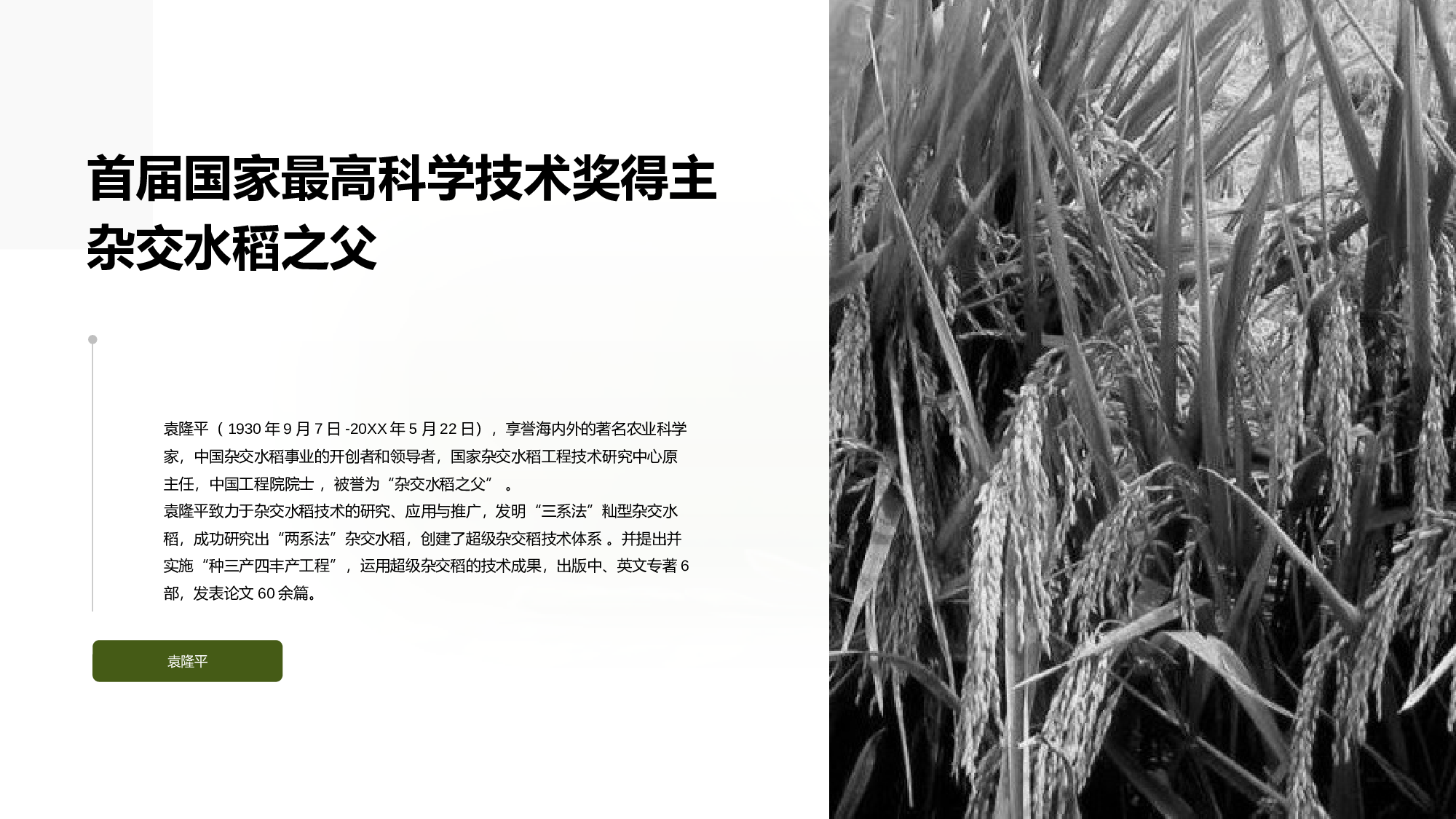 生物专业毕业论文答辩PPT.pptx 第5页