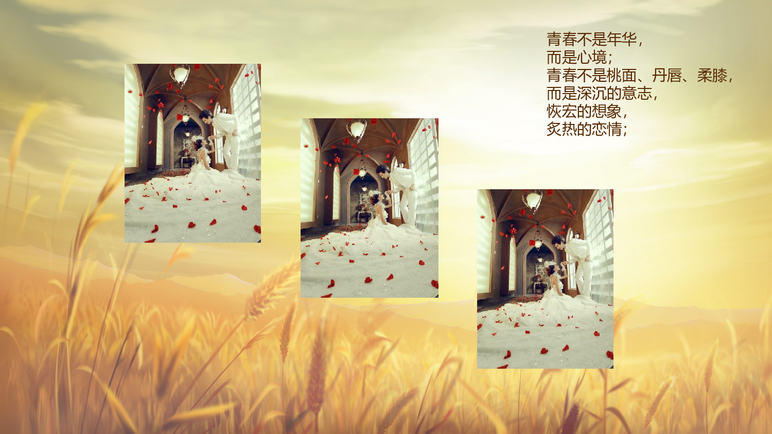 亮亮图文-同学聚会(1).pptx 第2页
