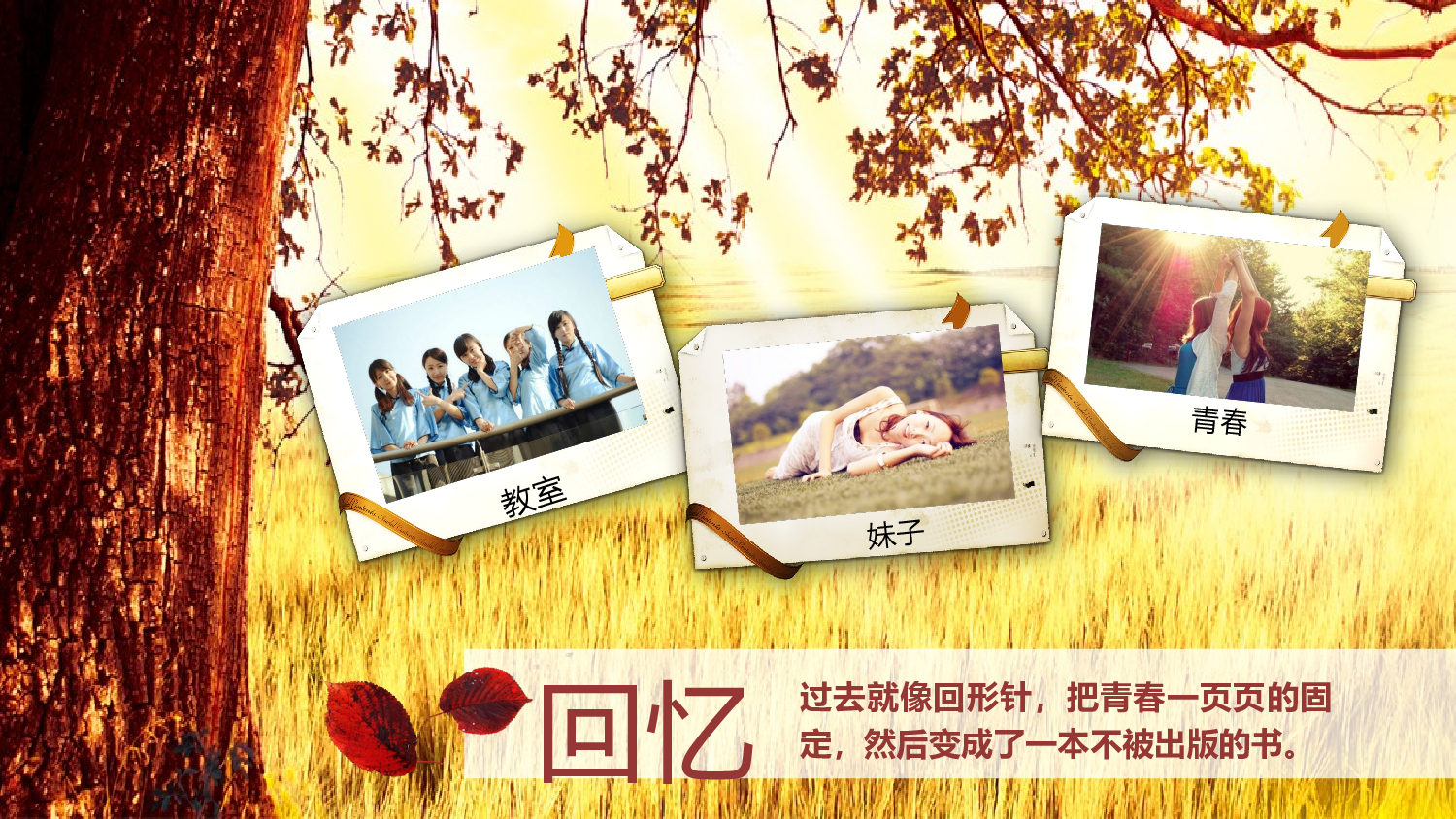 亮亮图文-同学聚会(10).pptx 第3页